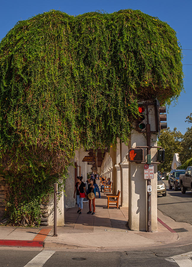 OJAI, California 93023, United States, ,Commercial,Active,72115