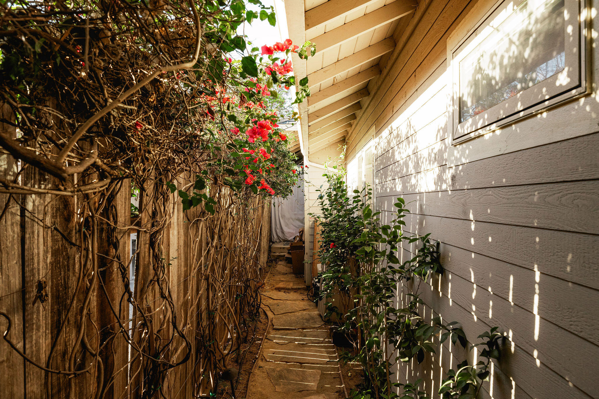 1111-1113 Olive Street