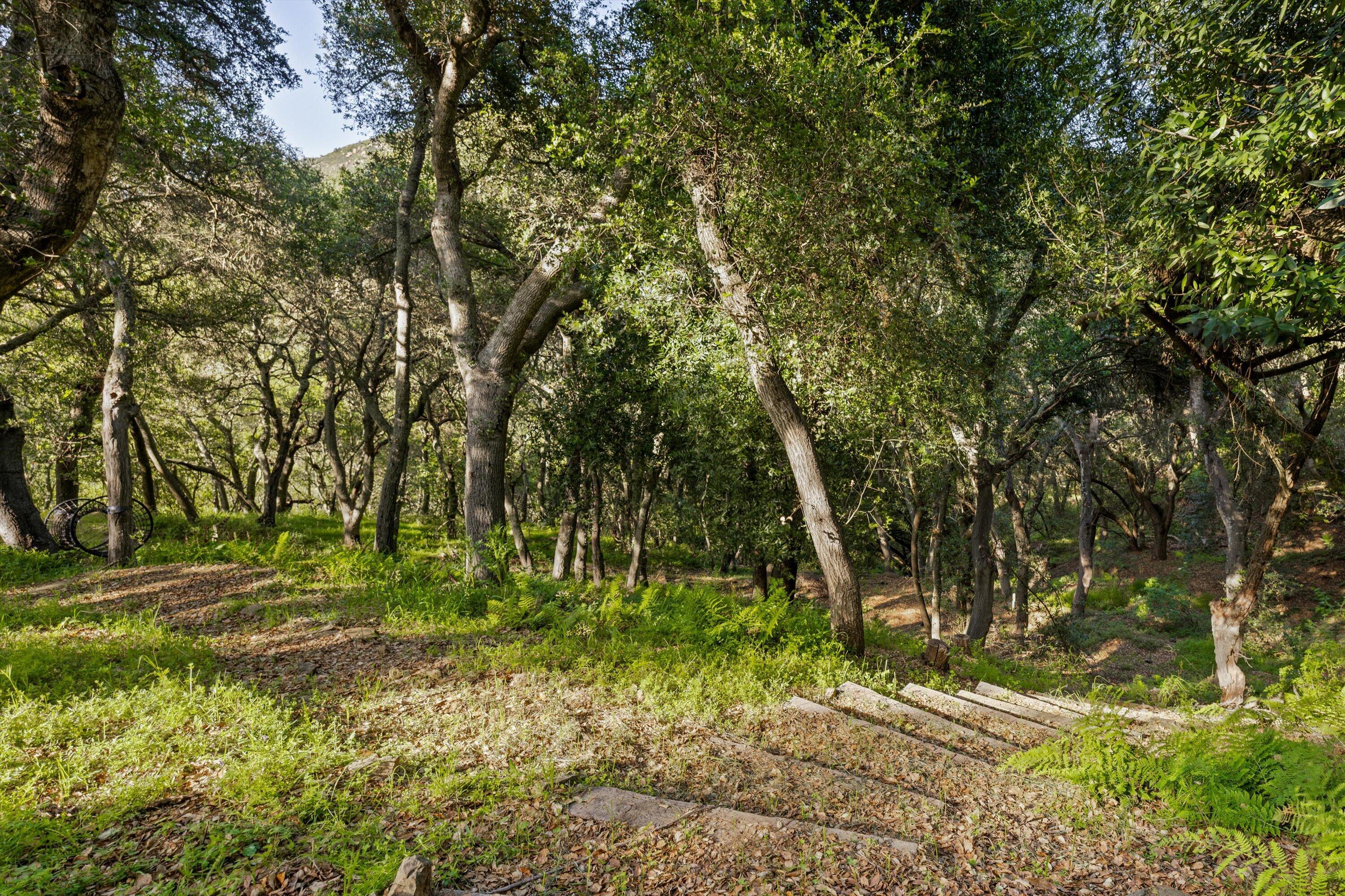 Santa Barbara, California 93105, United States, 5 Bedrooms Bedrooms, ,5 BathroomsBathrooms,Residential,Active,142843