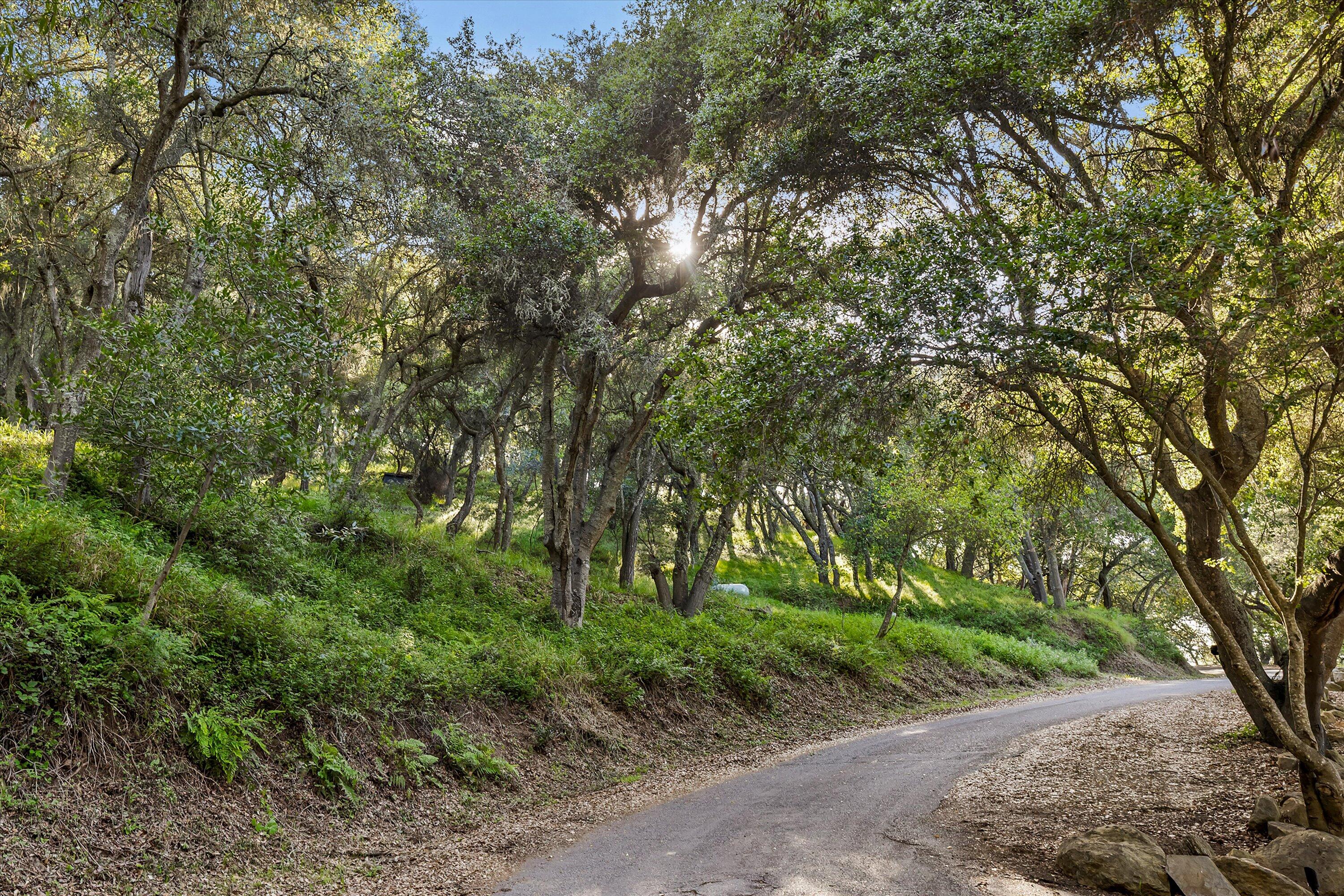 Santa Barbara, California 93105, United States, 5 Bedrooms Bedrooms, ,5 BathroomsBathrooms,Residential,Active,142843