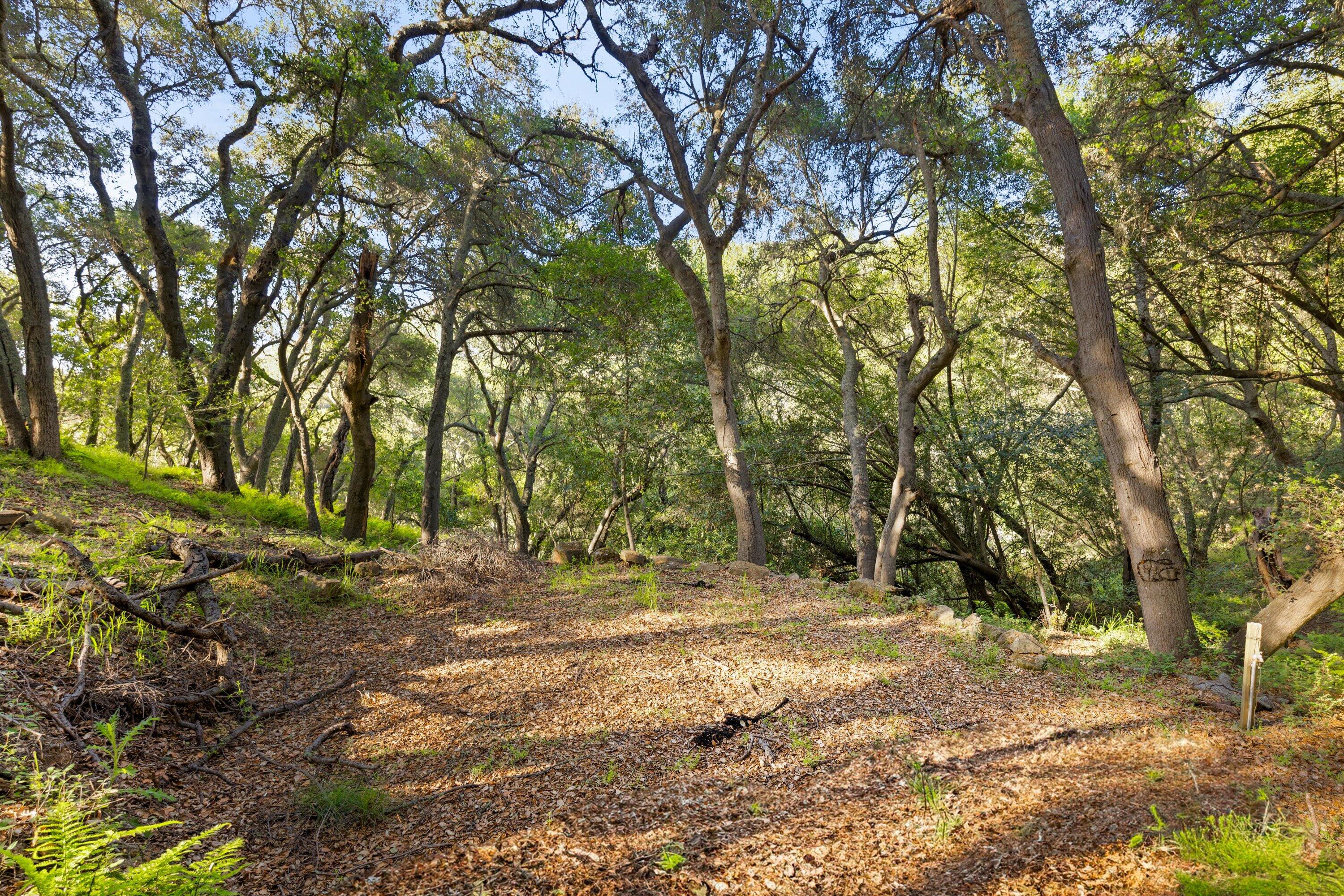 Santa Barbara, California 93105, United States, 5 Bedrooms Bedrooms, ,5 BathroomsBathrooms,Residential,Active,142843