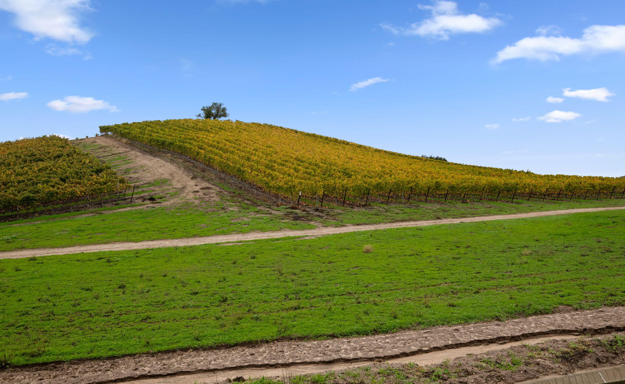 Los Alamos, California 93440, United States, 4 Bedrooms Bedrooms, ,3 BathroomsBathrooms,Residential,Active,247303