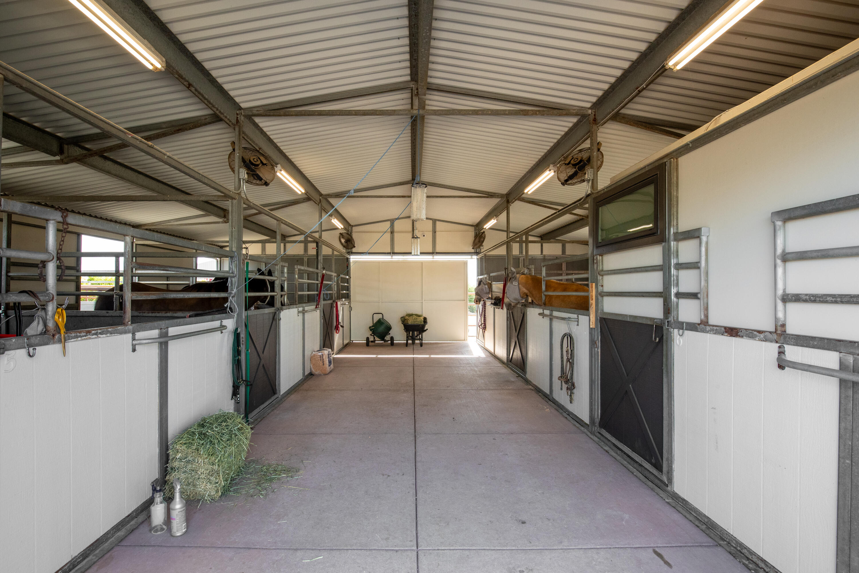 Santa Ynez, California 93460, United States, 4 Bedrooms Bedrooms, ,3 BathroomsBathrooms,Residential,Active,91314