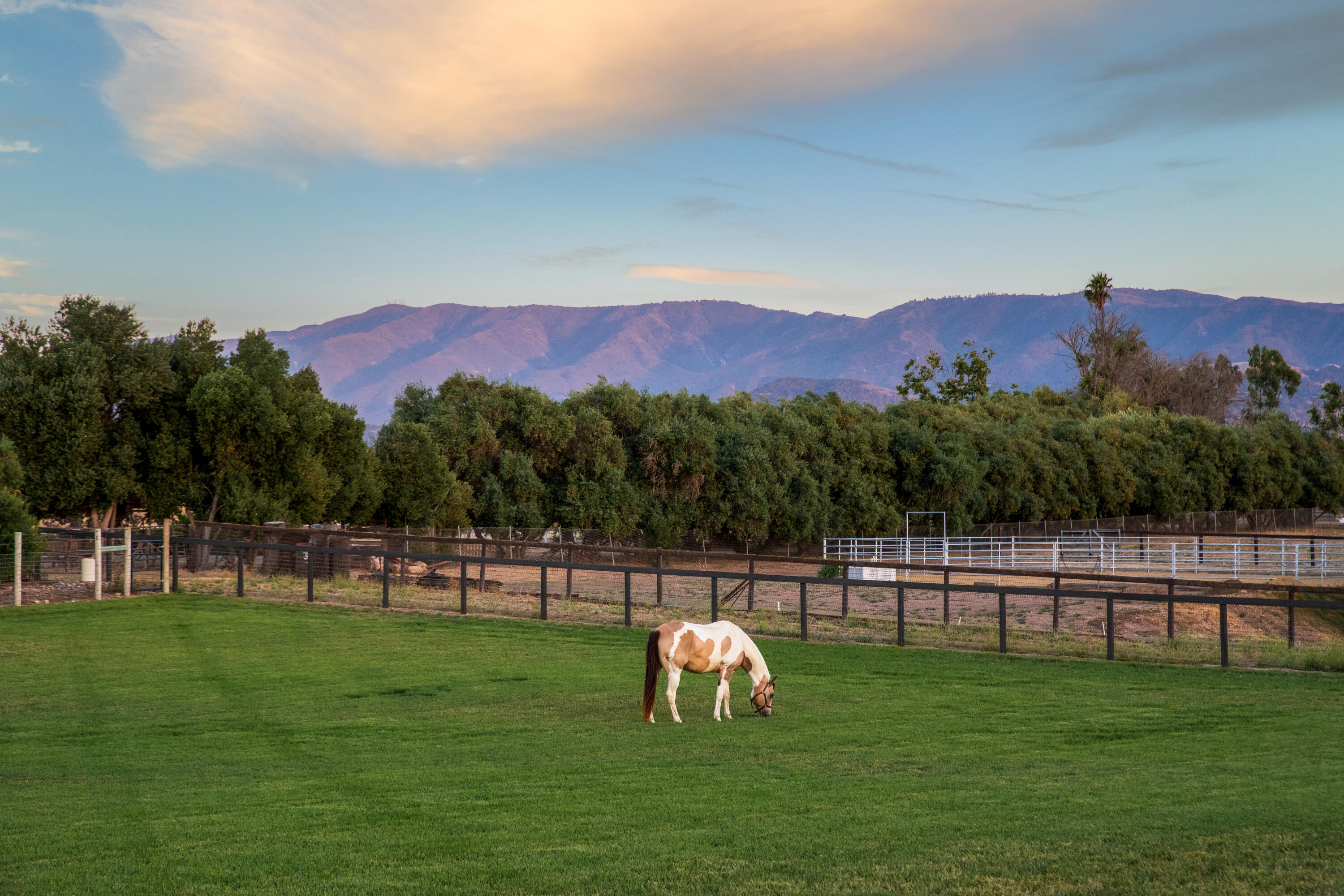 Santa Ynez, California 93460, United States, 4 Bedrooms Bedrooms, ,3 BathroomsBathrooms,Residential,Active,91314