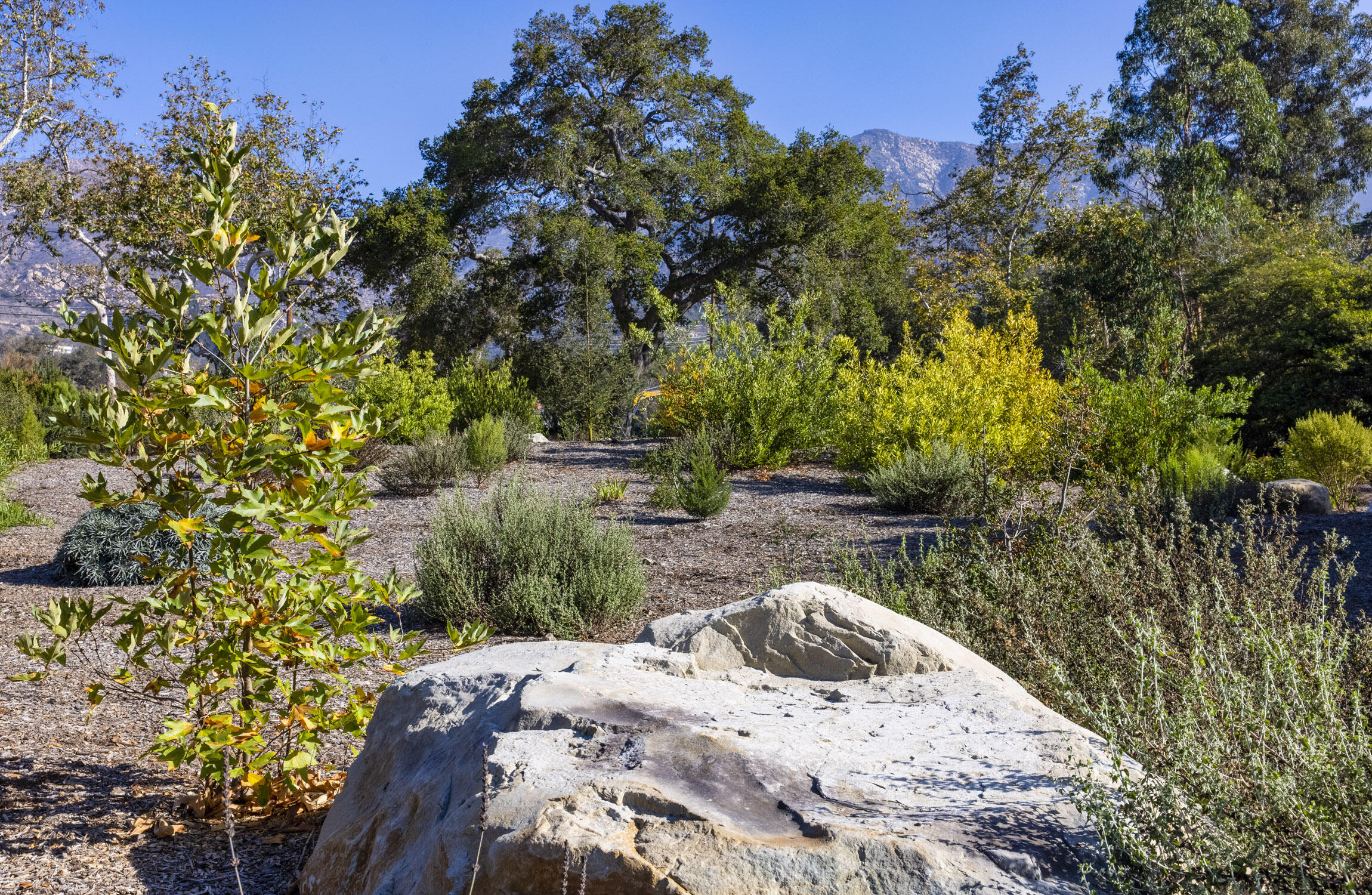 Montecito, California 93108, United States, ,Land,Active,172180