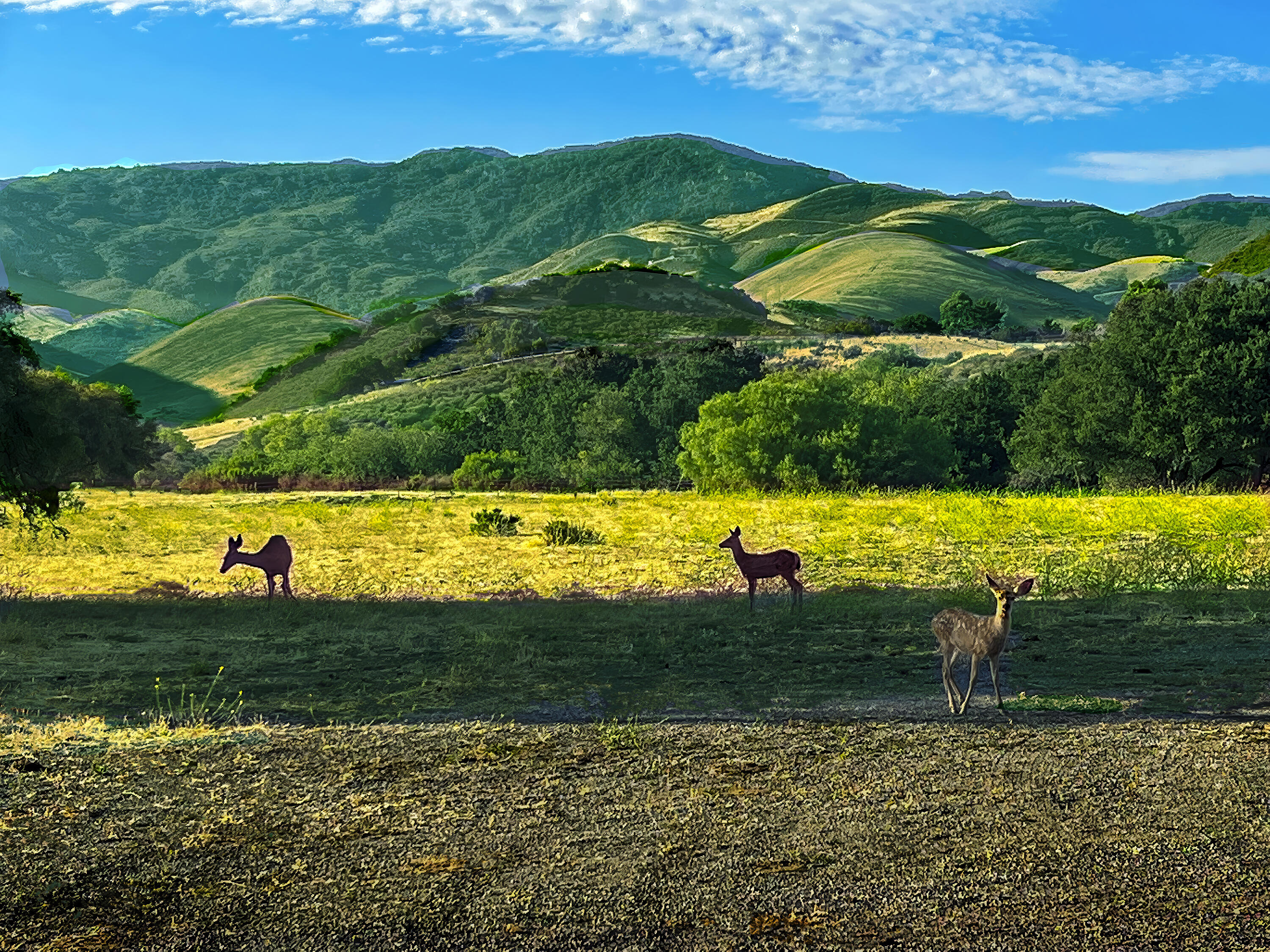 Goleta, California 93117, United States, 4 Bedrooms Bedrooms, ,6 BathroomsBathrooms,Residential,Active,139309