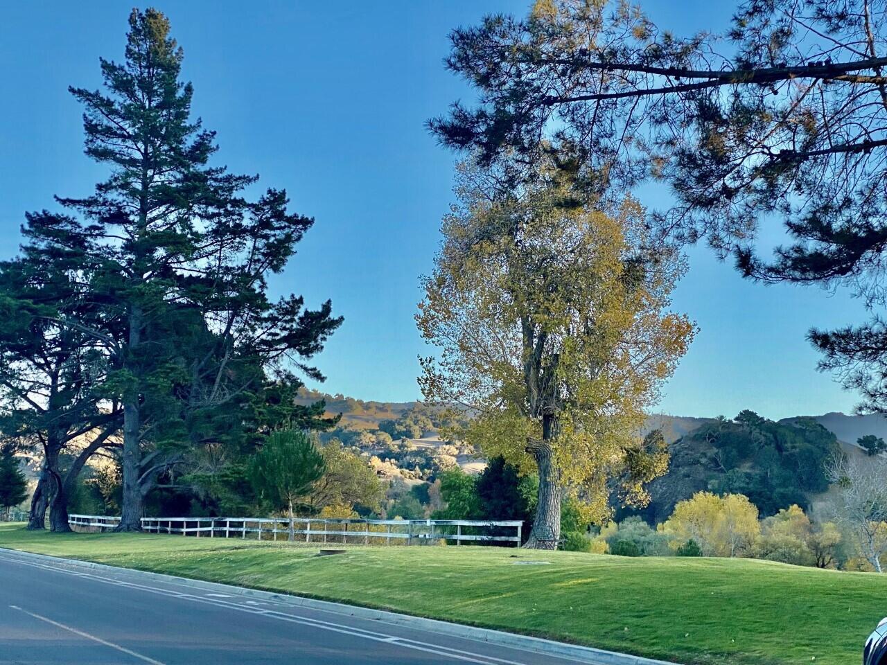 Solvang, California 93463, United States, 3 Bedrooms Bedrooms, ,2 BathroomsBathrooms,Residential,Pending,180379