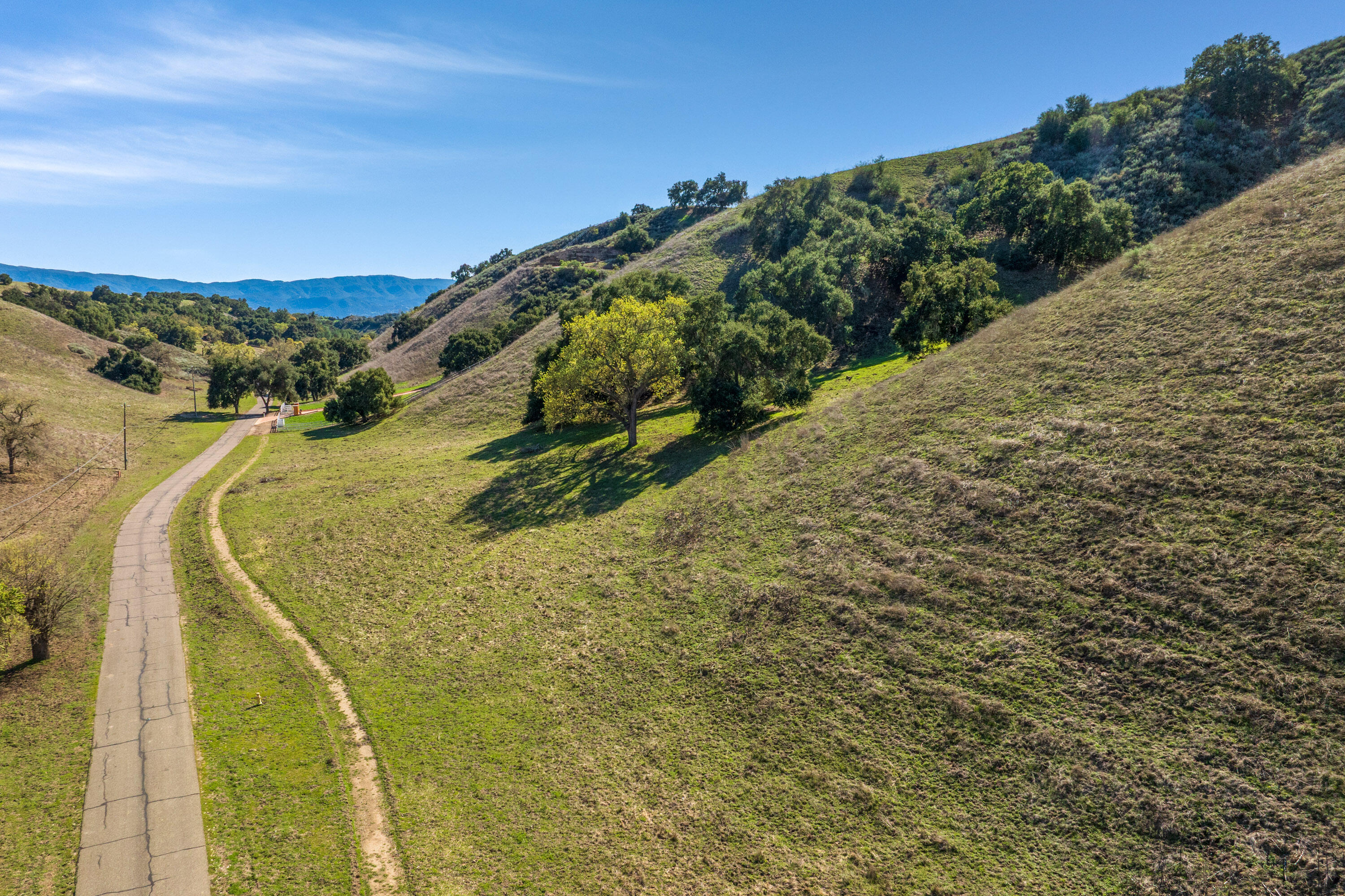 Santa Ynez, California 93460, United States, ,Land,Active,100196