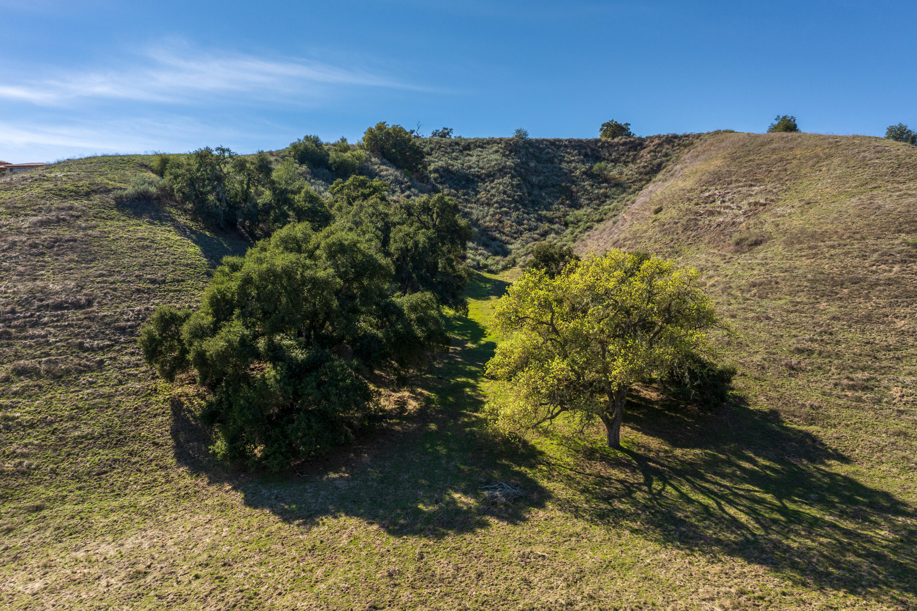 Santa Ynez, California 93460, United States, ,Land,Active,100196