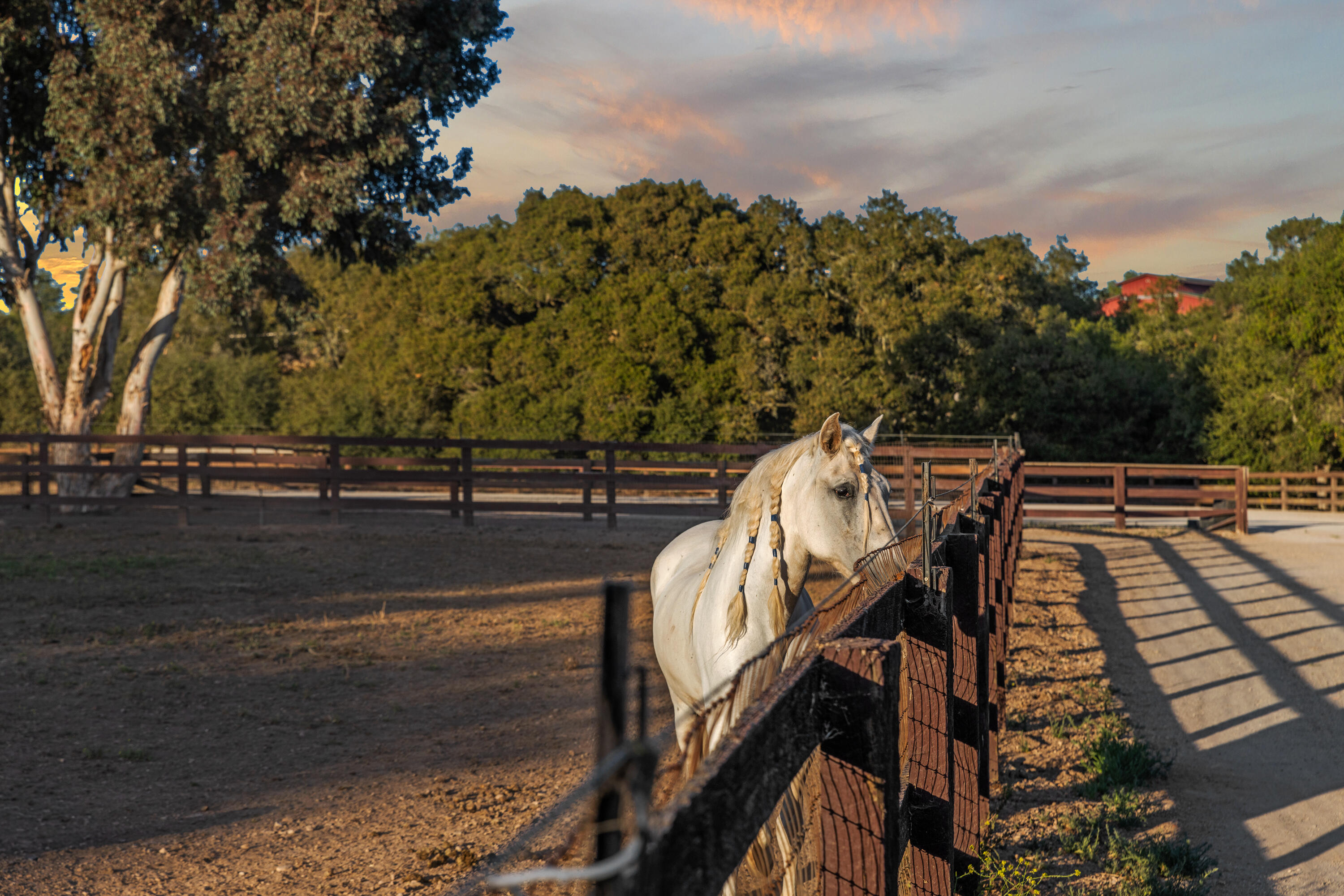 Solvang, California 93463, United States, 5 Bedrooms Bedrooms, ,4 BathroomsBathrooms,Residential,Active,165660