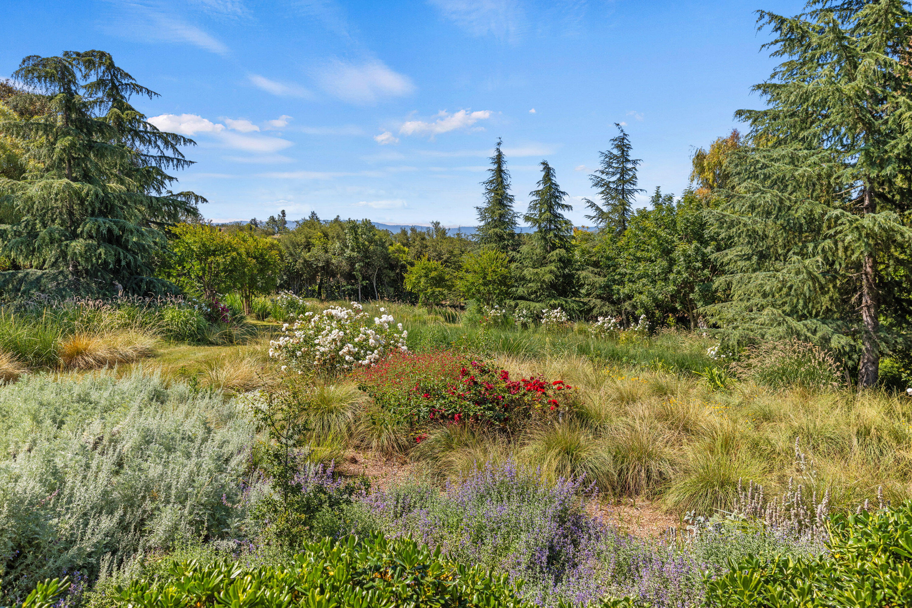 Solvang, California 93463, United States, 5 Bedrooms Bedrooms, ,4 BathroomsBathrooms,Residential,Active,165660