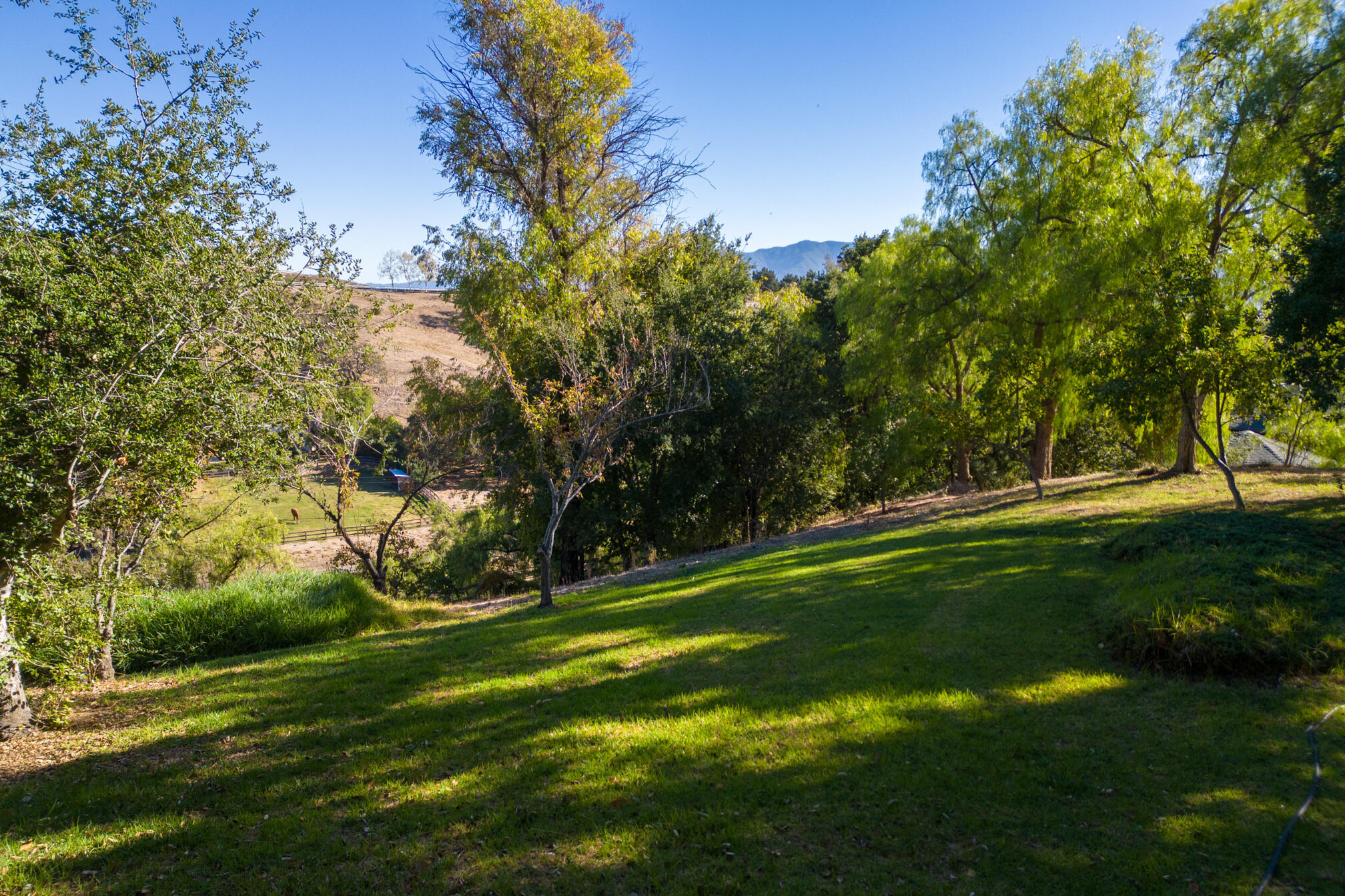 Santa Ynez, California 93460, United States, 4 Bedrooms Bedrooms, ,4 BathroomsBathrooms,Residential,Active,68378