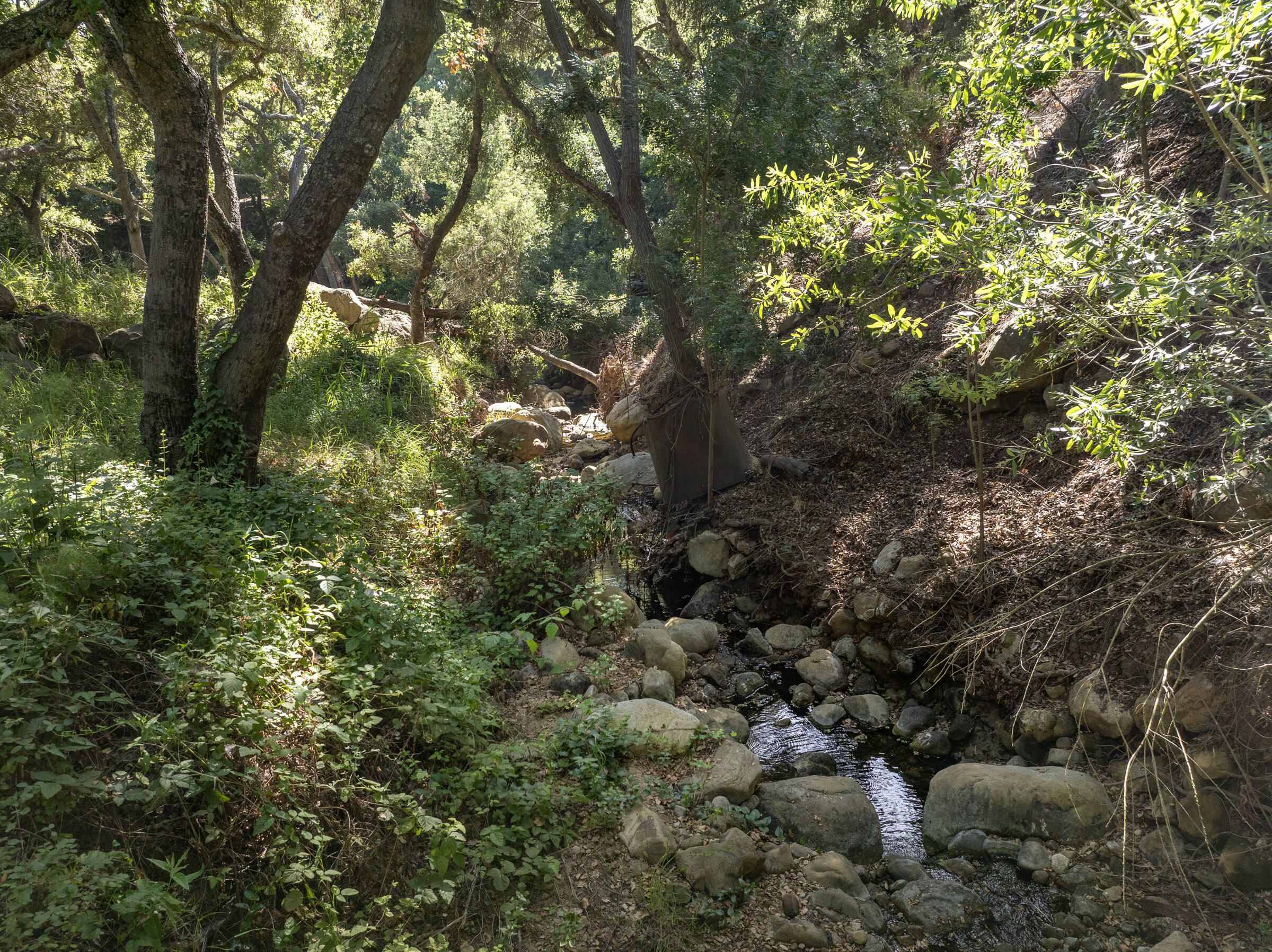 Montecito, California 93108, United States, ,Land,Active,130451