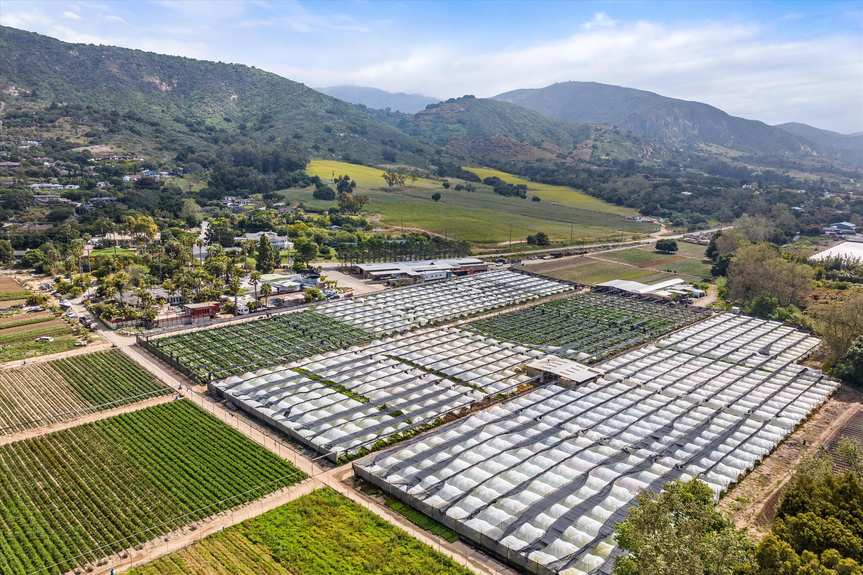 Carpinteria, California 93013, United States, ,Land,Active,74462