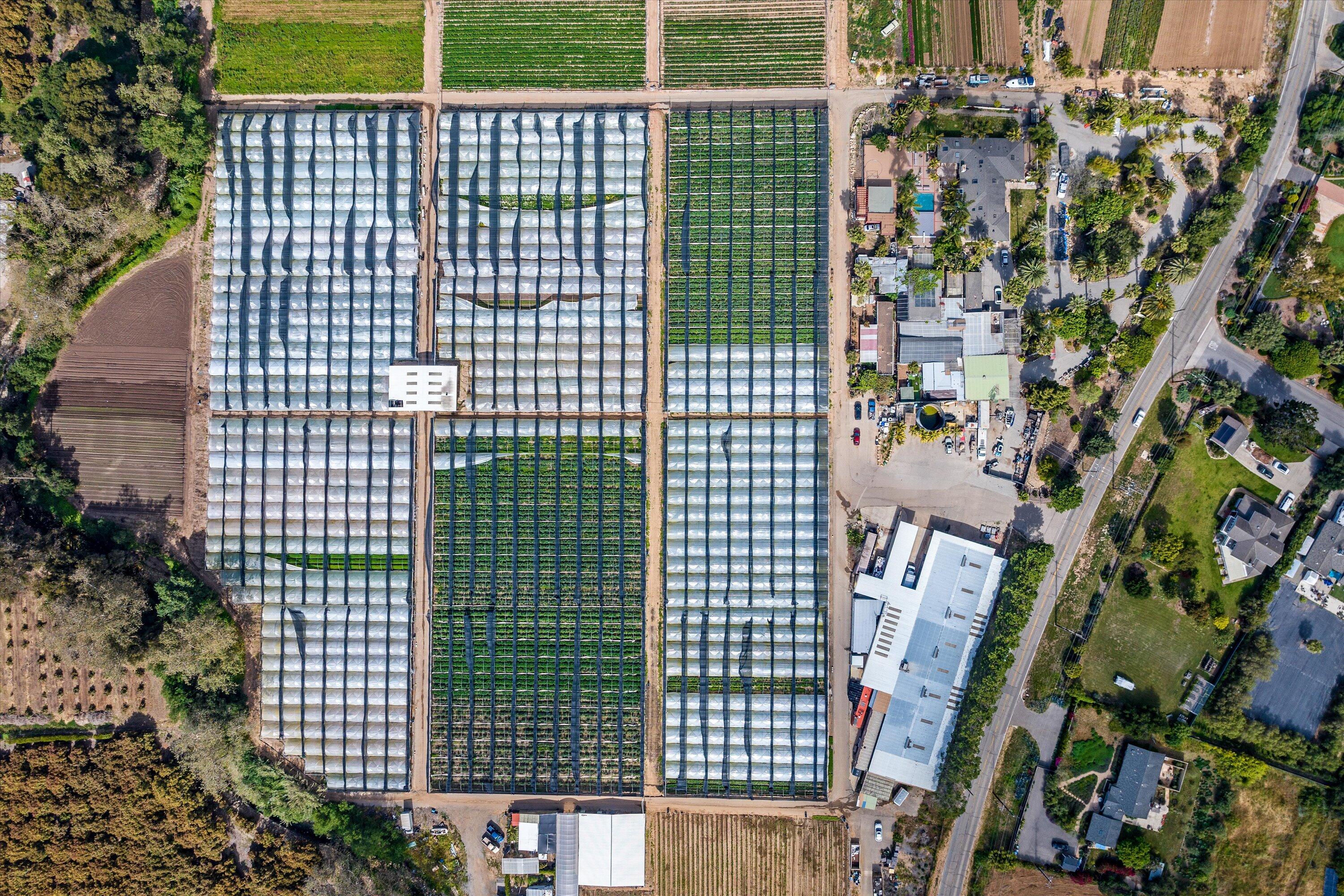 Carpinteria, California 93013, United States, ,Land,Active,74462