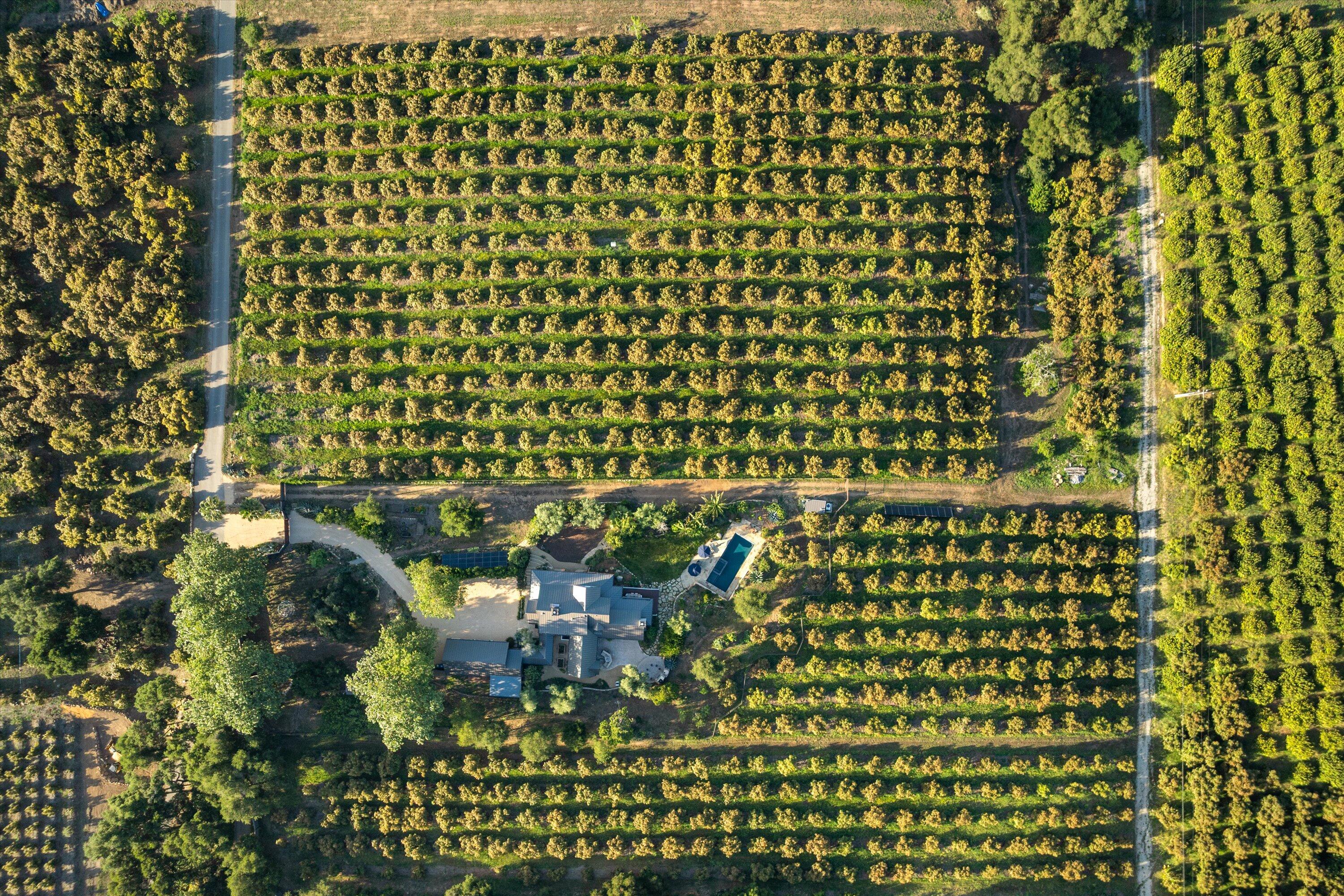 Carpinteria, California 93013, United States, 4 Bedrooms Bedrooms, ,5 BathroomsBathrooms,Residential,Active,125105