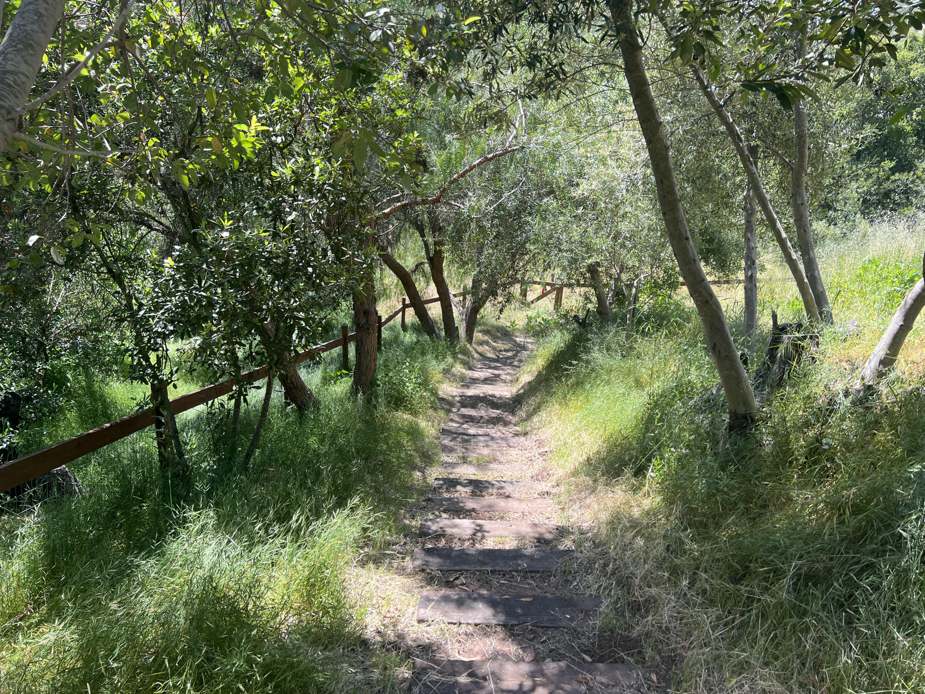 Santa Barbara, California 93105, United States, 3 Bedrooms Bedrooms, ,3 BathroomsBathrooms,Residential,Pending,72690