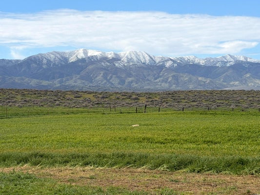 166 RUSSELL RANCH HIGHWAY, CUYAMA, CA 93254 - Image ef64ad77ea772028ddbc0ff1e18be9b8/4101091294