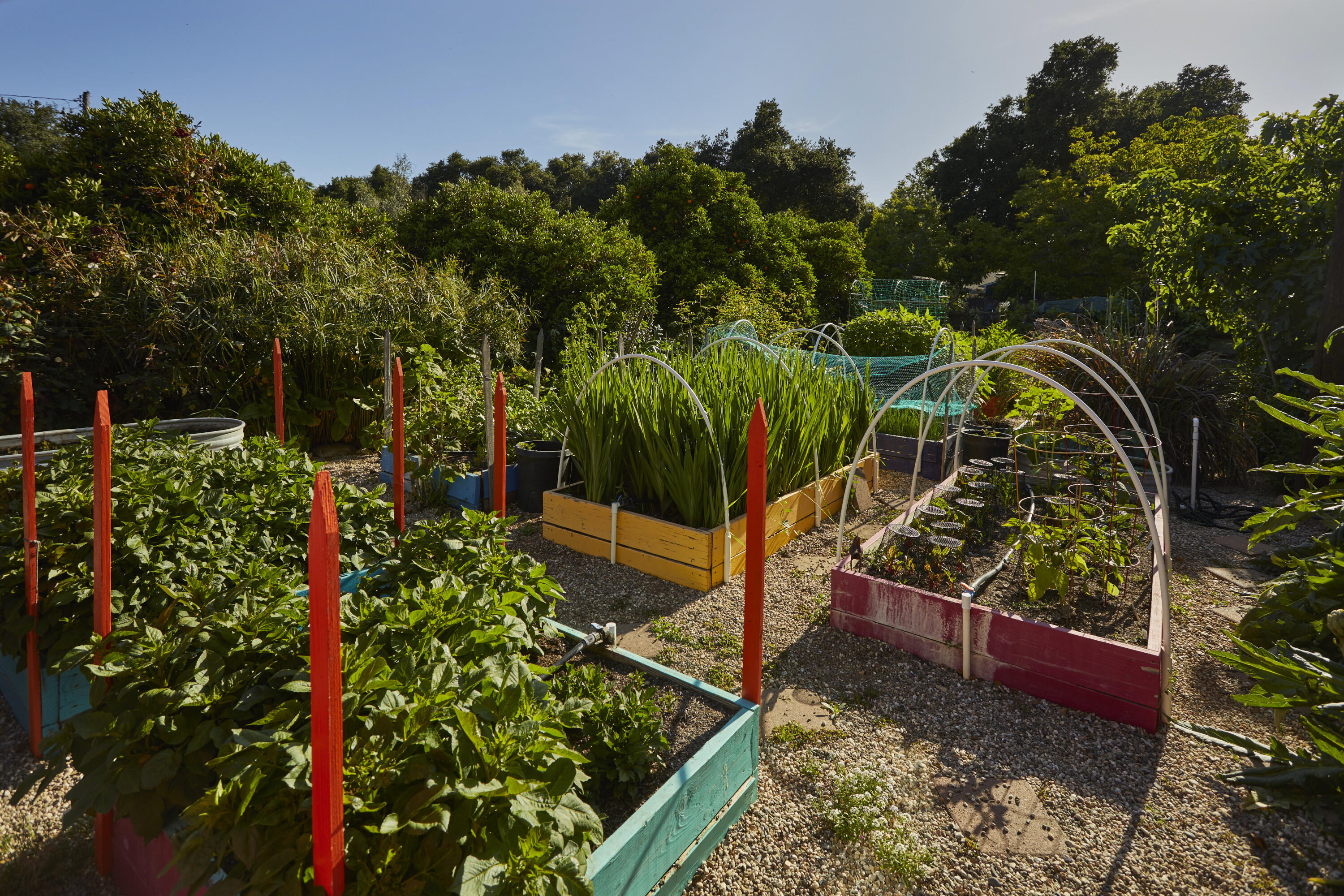 Santa Paula, California 93060, United States, 3 Bedrooms Bedrooms, ,3 BathroomsBathrooms,Residential,Active,154490