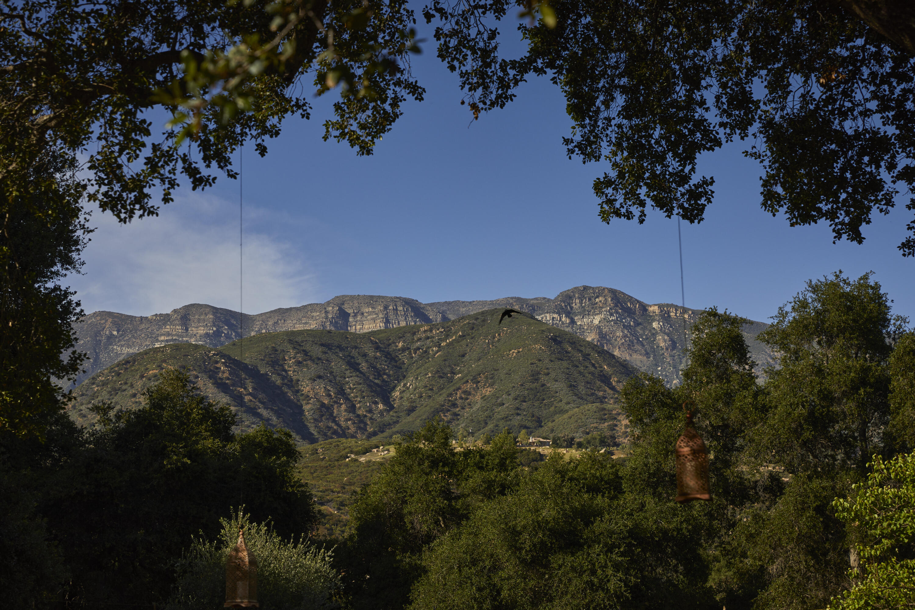 Santa Paula, California 93060, United States, 3 Bedrooms Bedrooms, ,3 BathroomsBathrooms,Residential,Active,154490