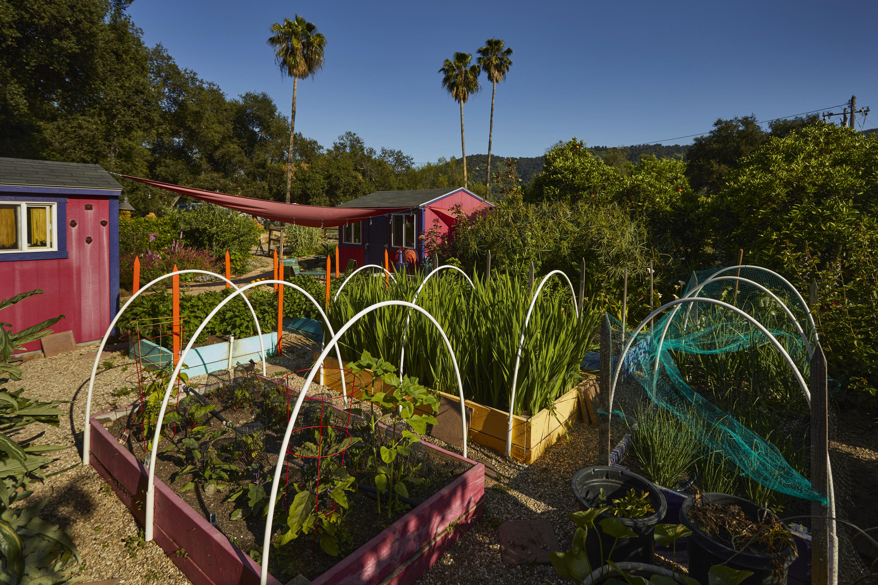 Santa Paula, California 93060, United States, 3 Bedrooms Bedrooms, ,3 BathroomsBathrooms,Residential,Active,154490