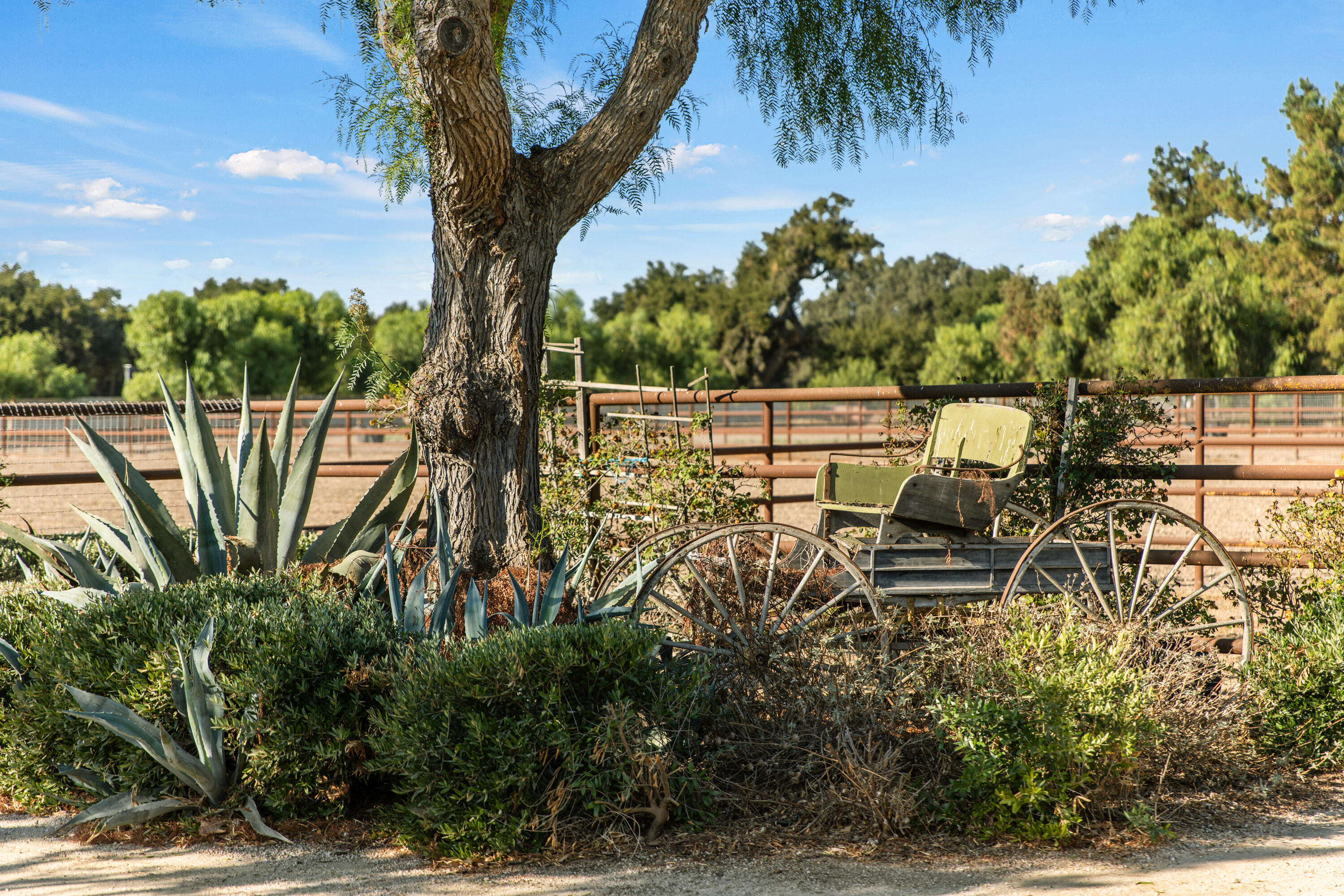 Santa Ynez, California 93460, United States, 4 Bedrooms Bedrooms, ,3 BathroomsBathrooms,Residential,Pending,38698