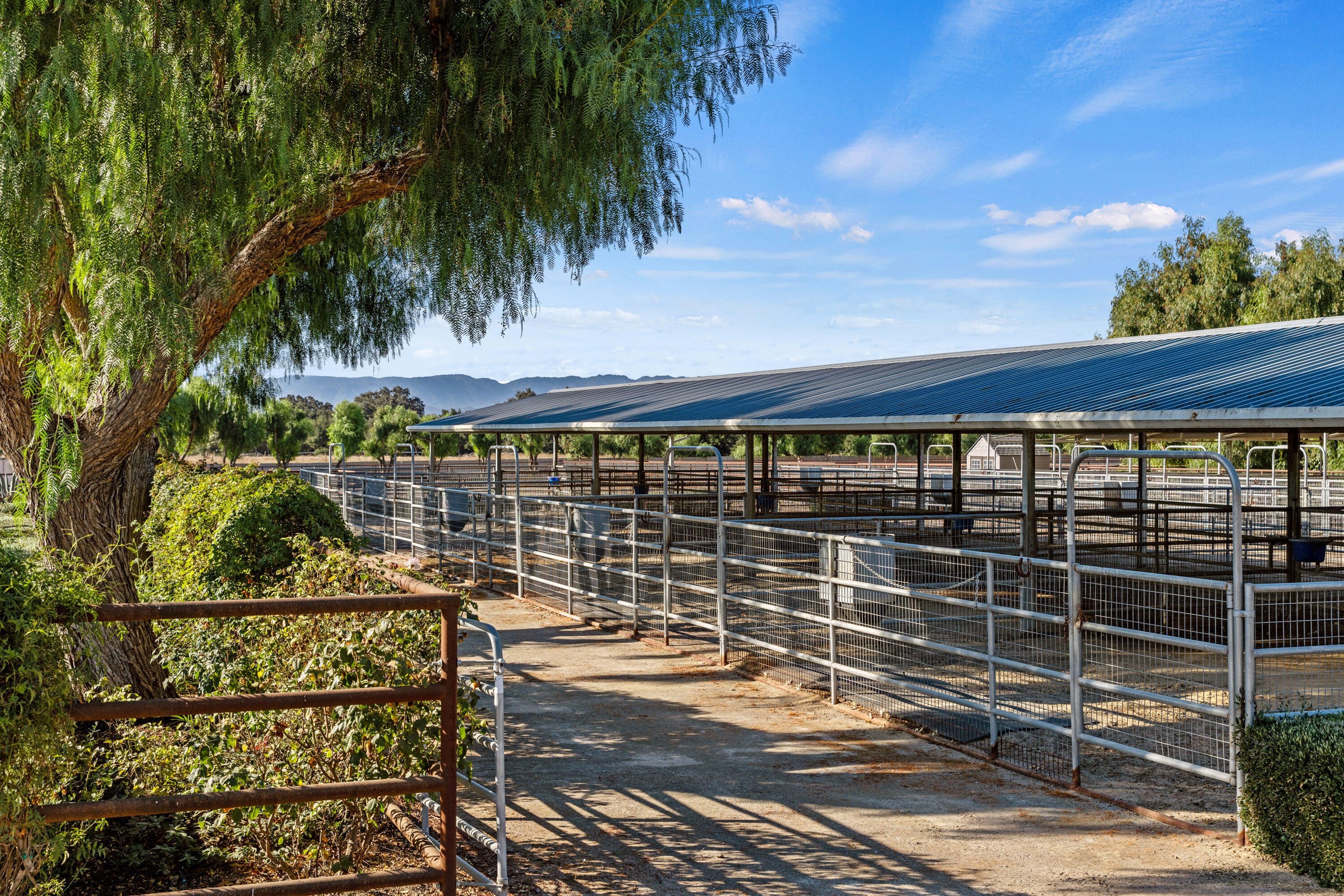 Santa Ynez, California 93460, United States, 4 Bedrooms Bedrooms, ,3 BathroomsBathrooms,Residential,Pending,38698