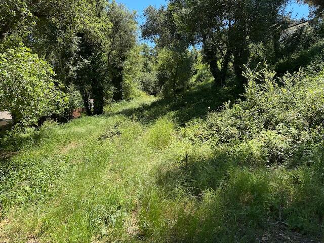 290-292 Rosario Park Road