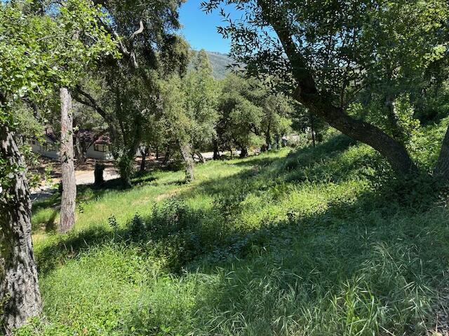 290-292 Rosario Park Road