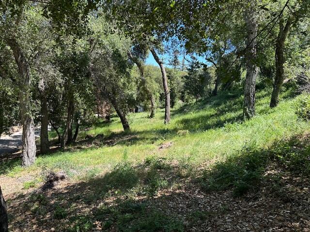 290-292 Rosario Park Road