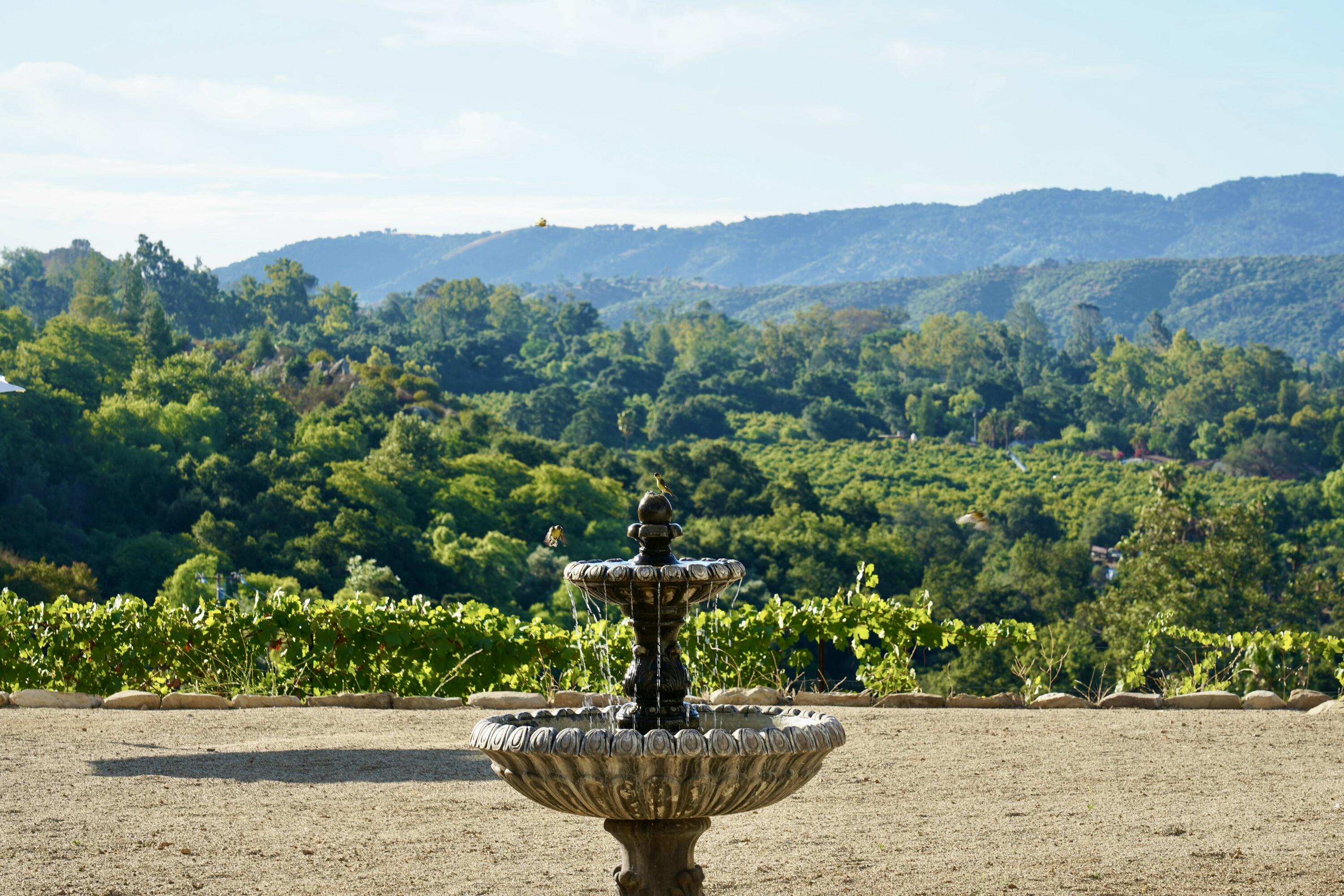 Ojai, California 93023, United States, 4 Bedrooms Bedrooms, ,5 BathroomsBathrooms,Residential,Active,5399