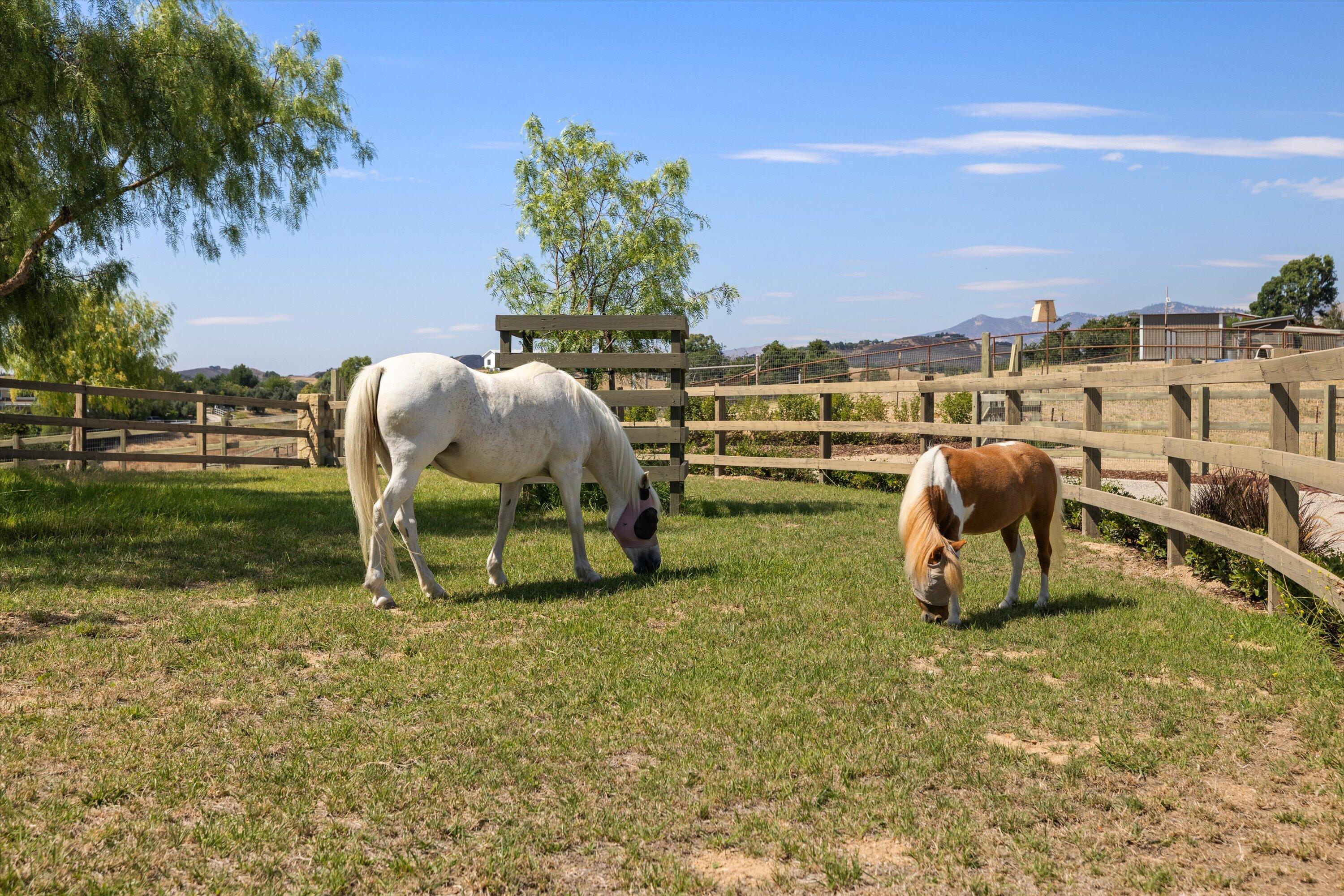 Santa Ynez, California 93460, United States, 3 Bedrooms Bedrooms, ,5 BathroomsBathrooms,Residential,Pending,52908