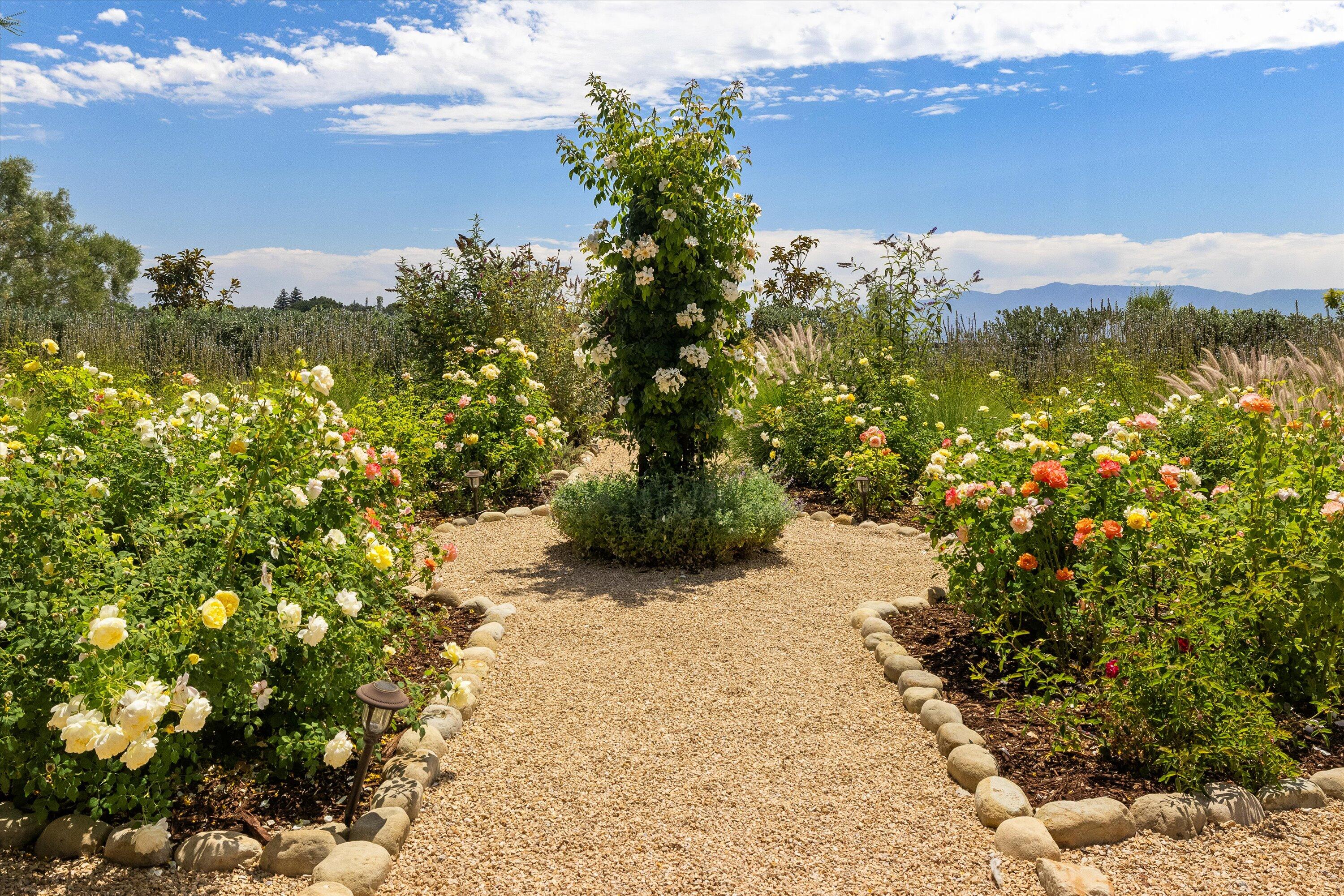 Santa Ynez, California 93460, United States, 3 Bedrooms Bedrooms, ,5 BathroomsBathrooms,Residential,Pending,52908