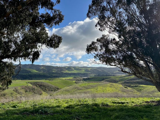 4695 SWEENEY RD, LOMPOC, CA 93436 - Image fa650a7a1fe2c8fe671ca26e240ff0d6/601901762