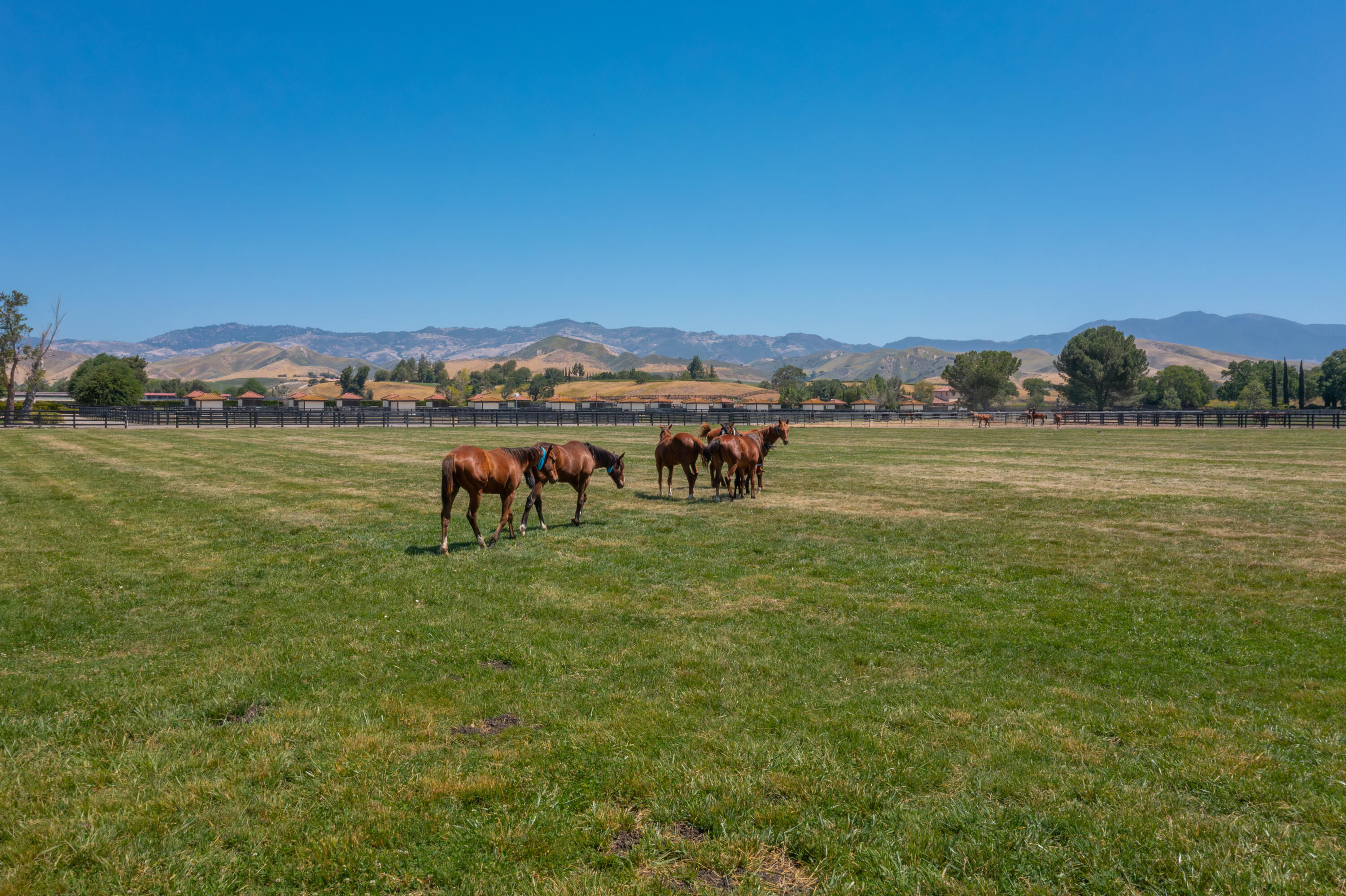 Santa Ynez, California 93460, United States, 8 Bedrooms Bedrooms, ,7 BathroomsBathrooms,Residential,Active,14038