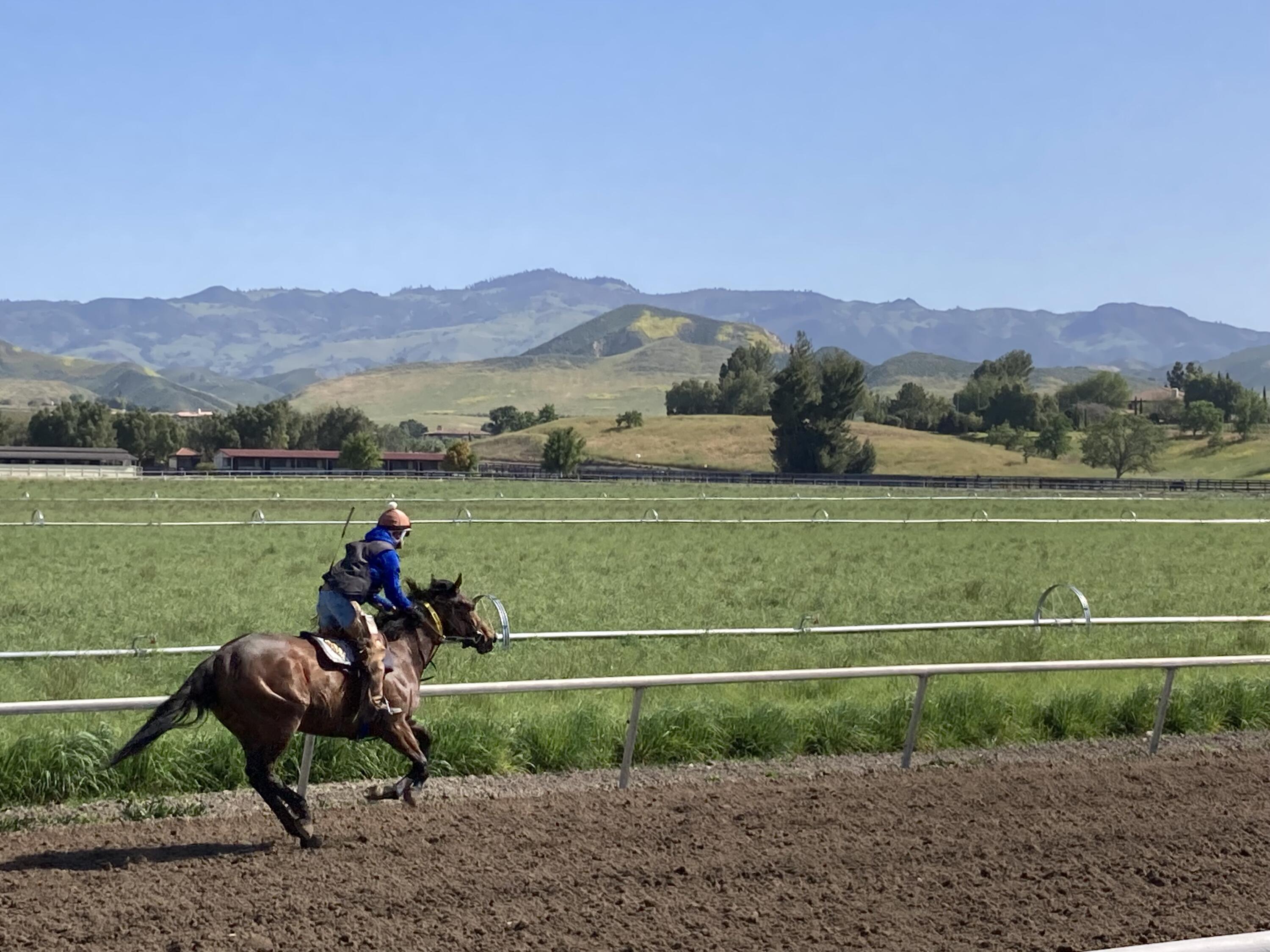 Santa Ynez, California 93460, United States, 8 Bedrooms Bedrooms, ,7 BathroomsBathrooms,Residential,Active,14038