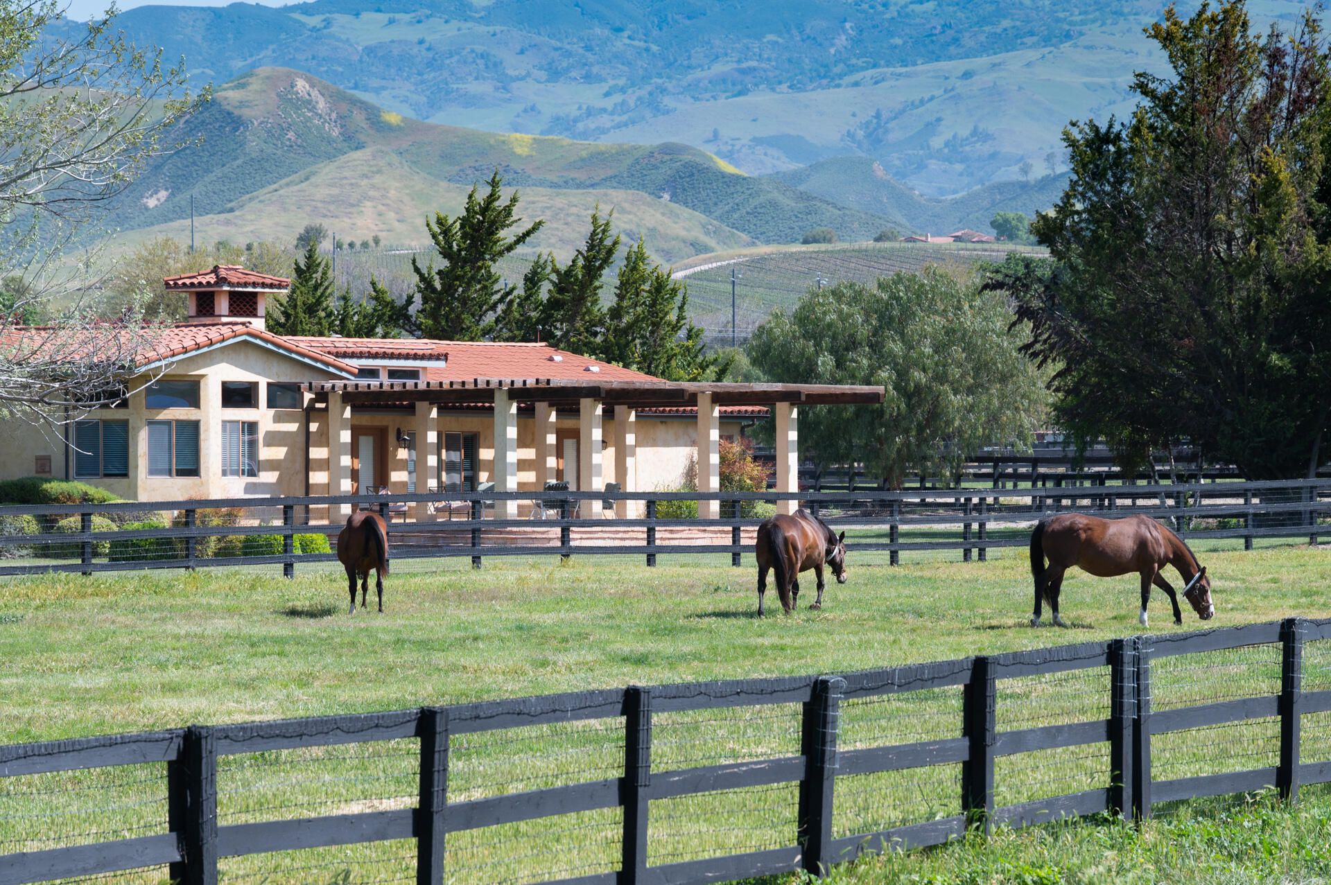 Santa Ynez, California 93460, United States, 8 Bedrooms Bedrooms, ,7 BathroomsBathrooms,Residential,Active,14038