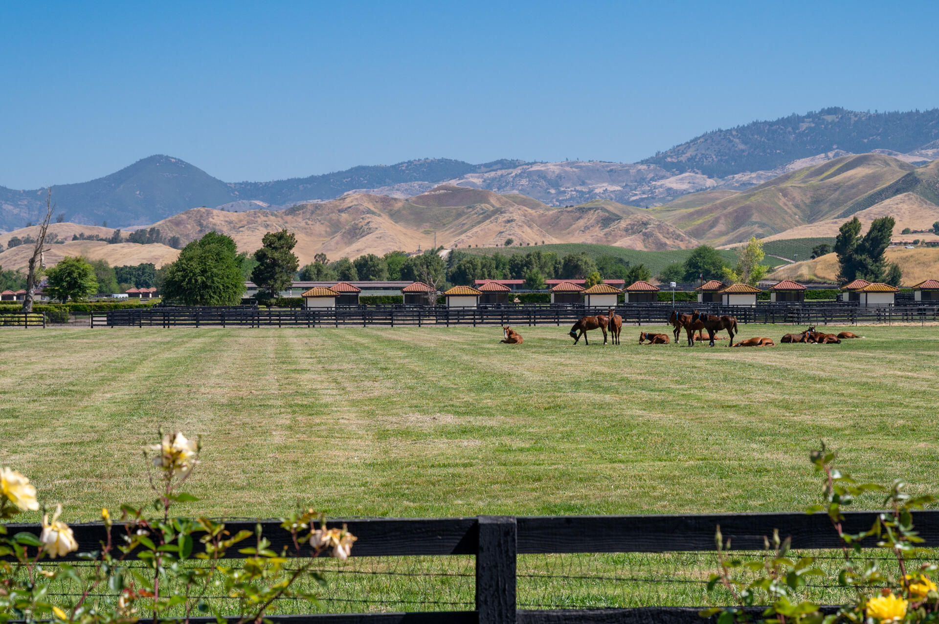 Santa Ynez, California 93460, United States, 8 Bedrooms Bedrooms, ,7 BathroomsBathrooms,Residential,Active,14038