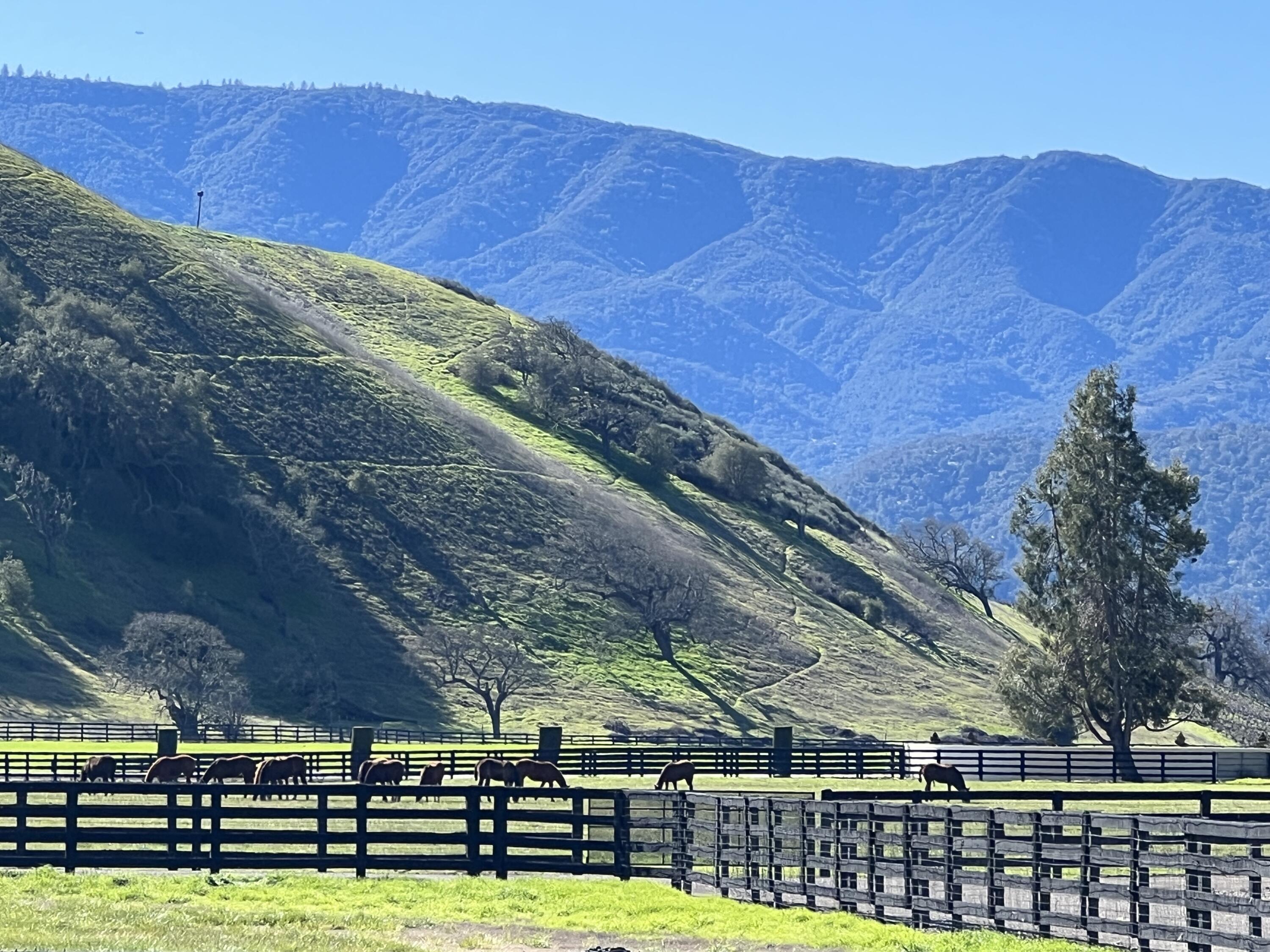 Santa Ynez, California 93460, United States, 8 Bedrooms Bedrooms, ,7 BathroomsBathrooms,Residential,Active,14038