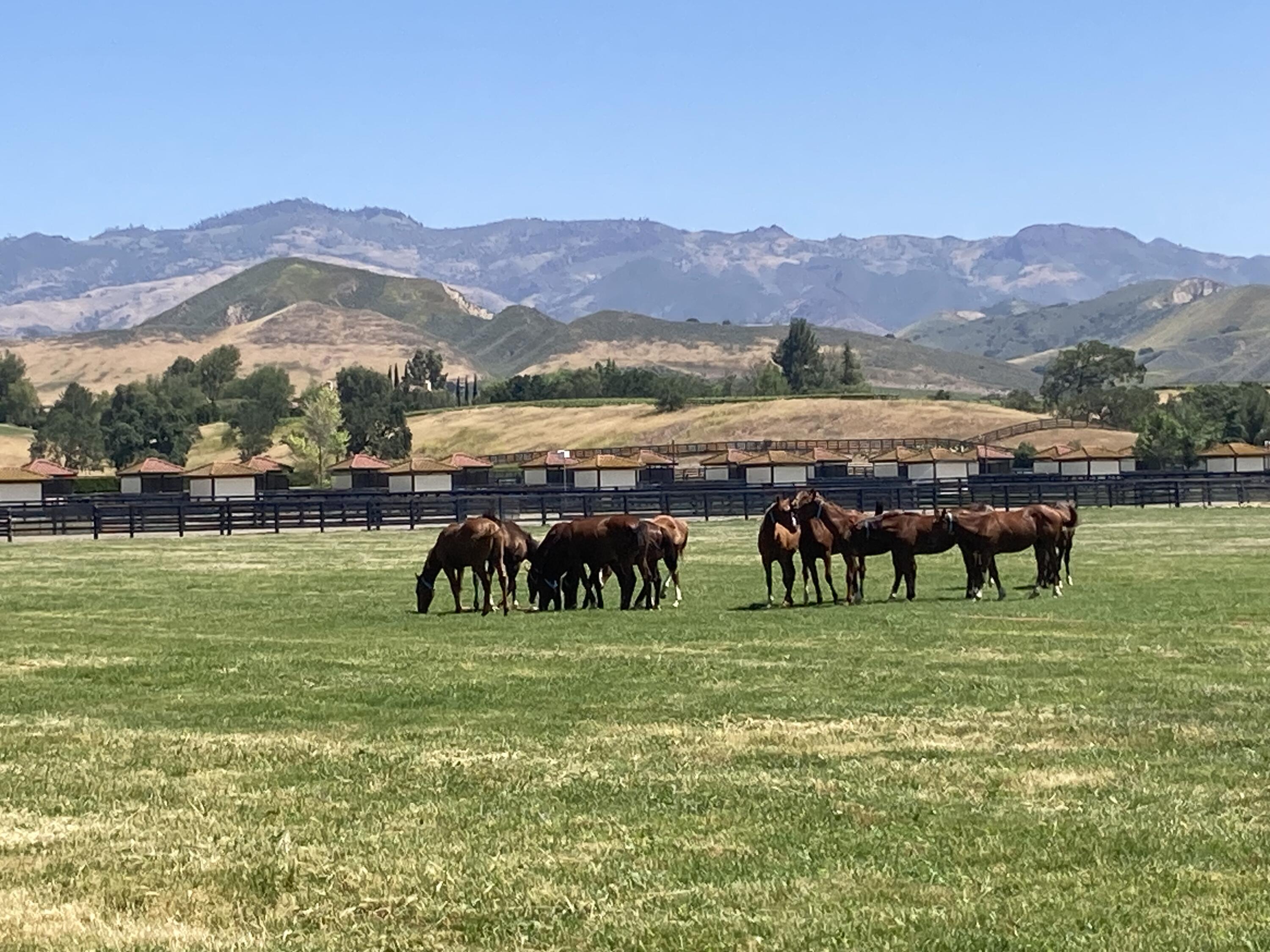 Santa Ynez, California 93460, United States, 8 Bedrooms Bedrooms, ,7 BathroomsBathrooms,Residential,Active,14038