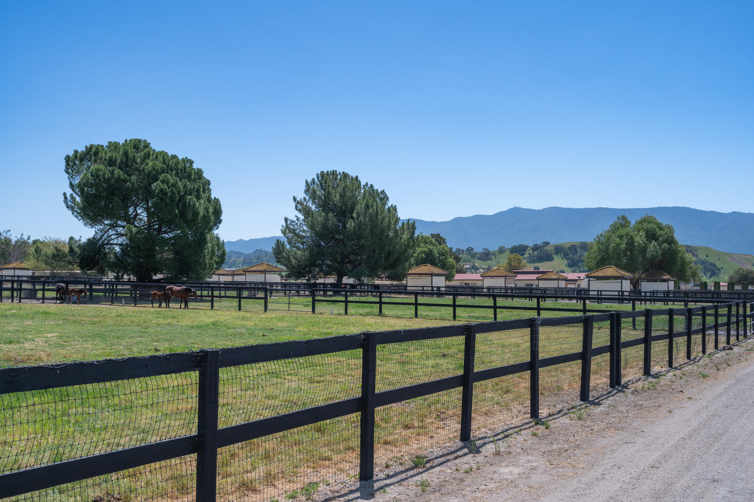 Santa Ynez, California 93460, United States, 8 Bedrooms Bedrooms, ,7 BathroomsBathrooms,Residential,Active,14038
