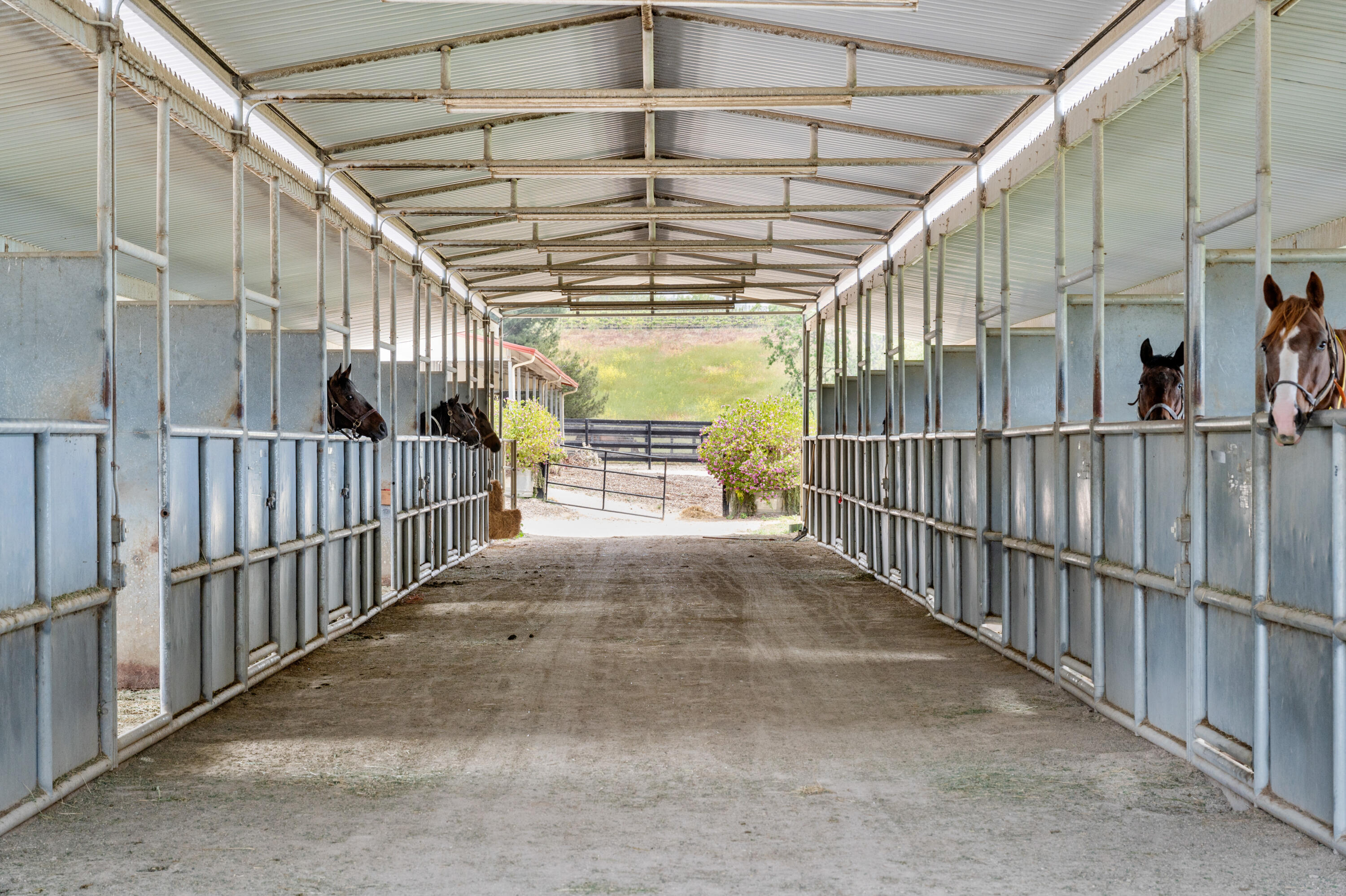 Santa Ynez, California 93460, United States, 8 Bedrooms Bedrooms, ,7 BathroomsBathrooms,Residential,Active,14038