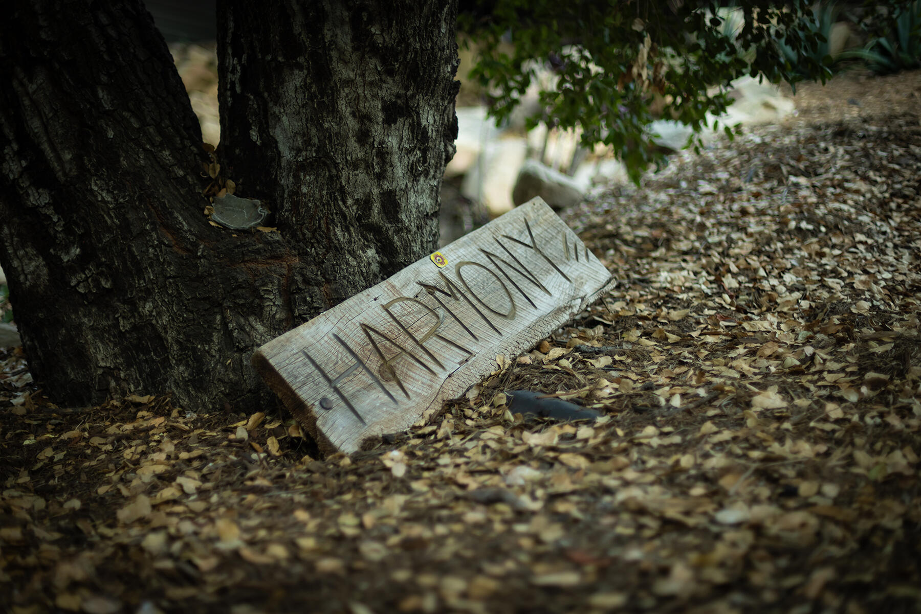 Ojai, California 93023, United States, 6 Bedrooms Bedrooms, ,5 BathroomsBathrooms,Residential,Active,204035