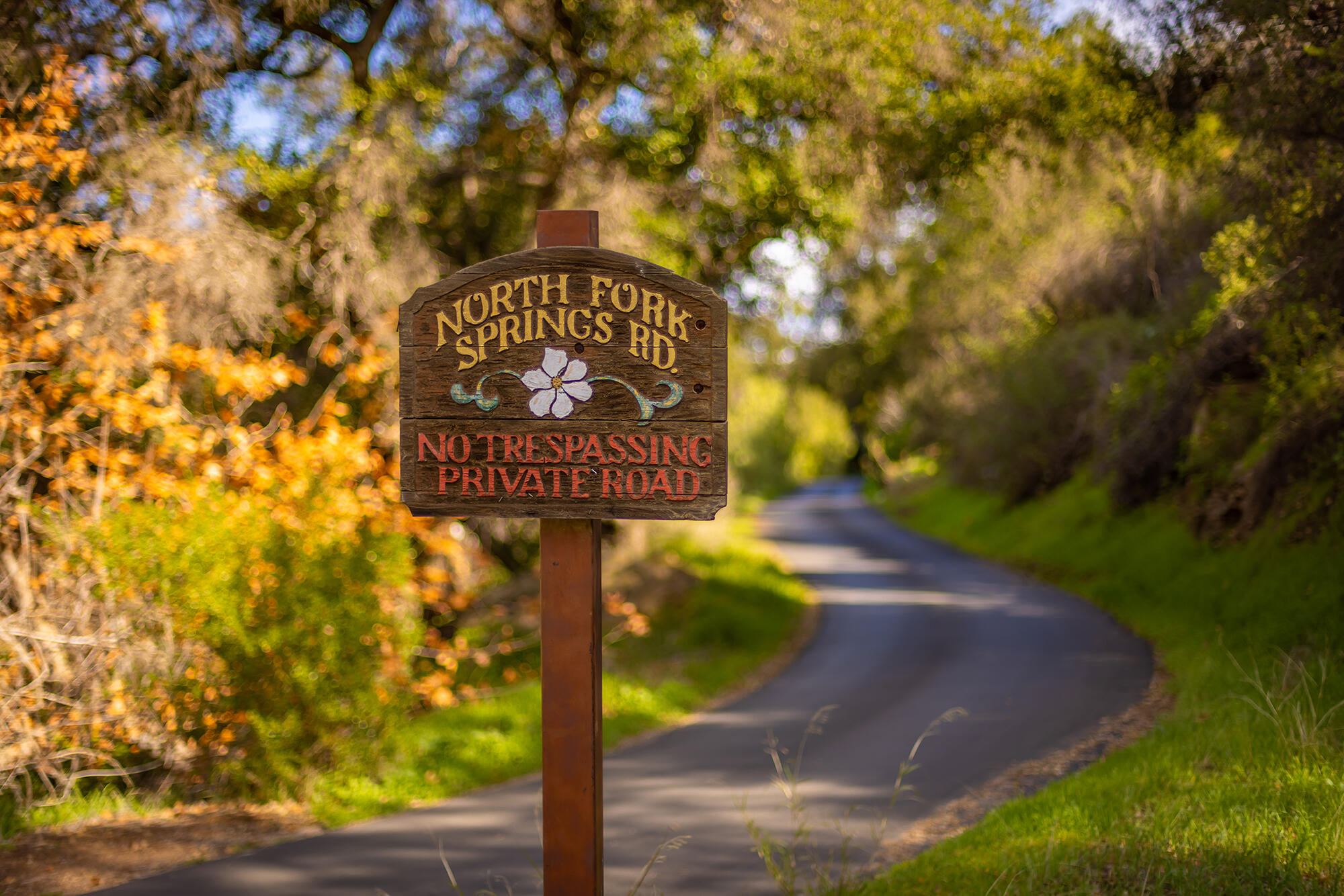 Ojai, California 93023, United States, 6 Bedrooms Bedrooms, ,5 BathroomsBathrooms,Residential,Active,204035