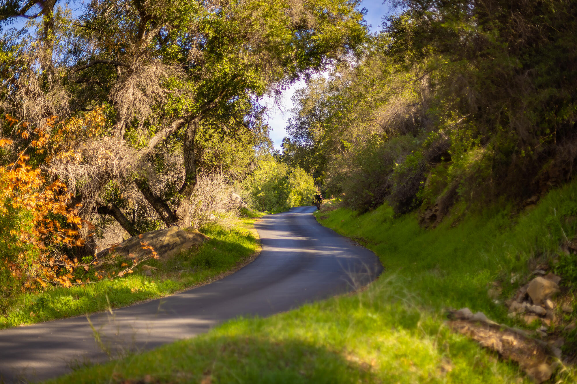 Ojai, California 93023, United States, 6 Bedrooms Bedrooms, ,5 BathroomsBathrooms,Residential,Active,204035