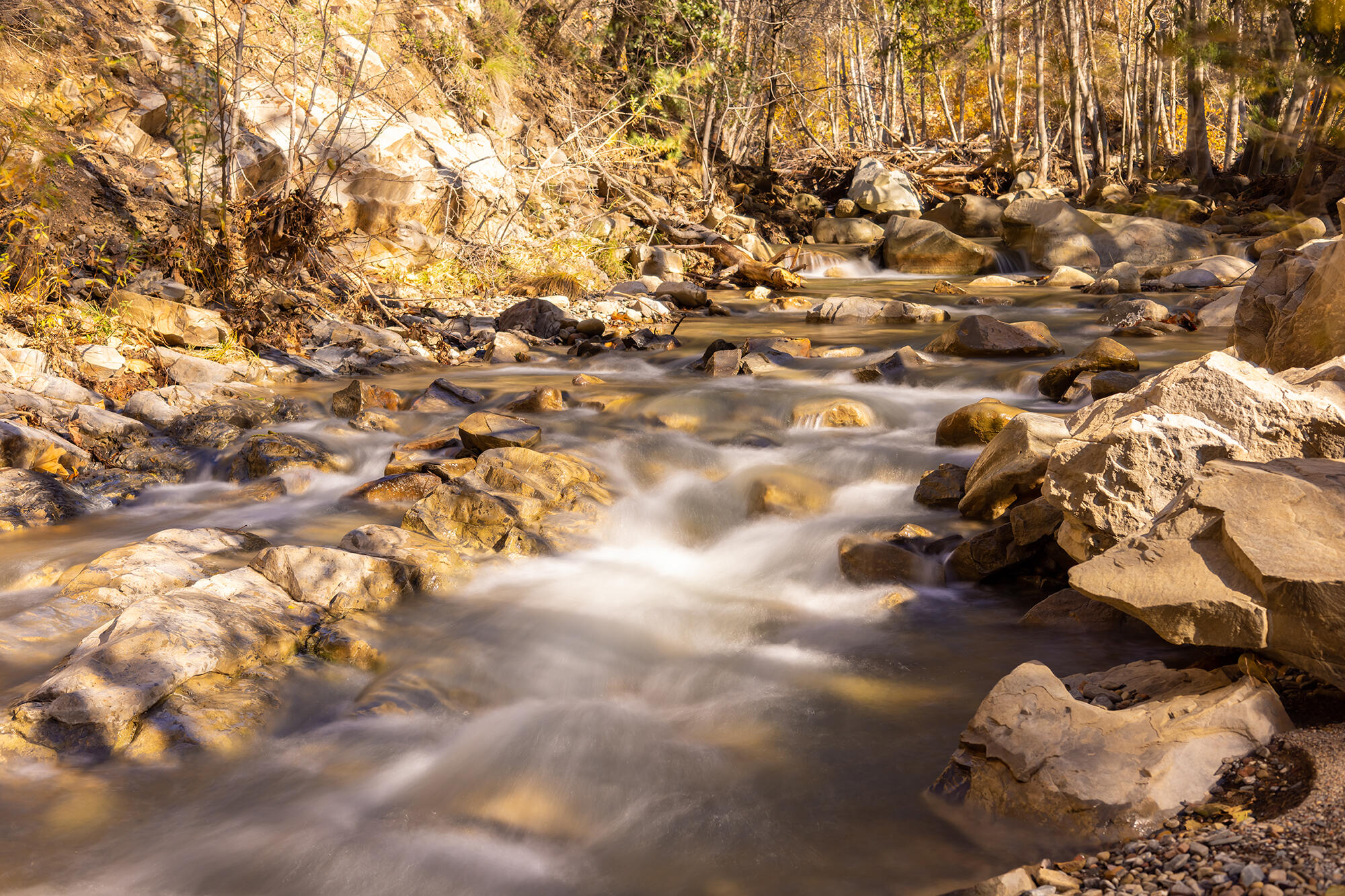 Ojai, California 93023, United States, 6 Bedrooms Bedrooms, ,5 BathroomsBathrooms,Residential,Active,204035