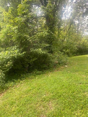 4625 PARKER RD, BLACK JACK, MO 63033 - Image 8bc720ae313d5f69ccbc18abfdd7e245/620486606