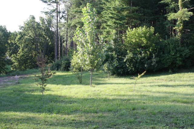 LOT 4 PINE RIDGE