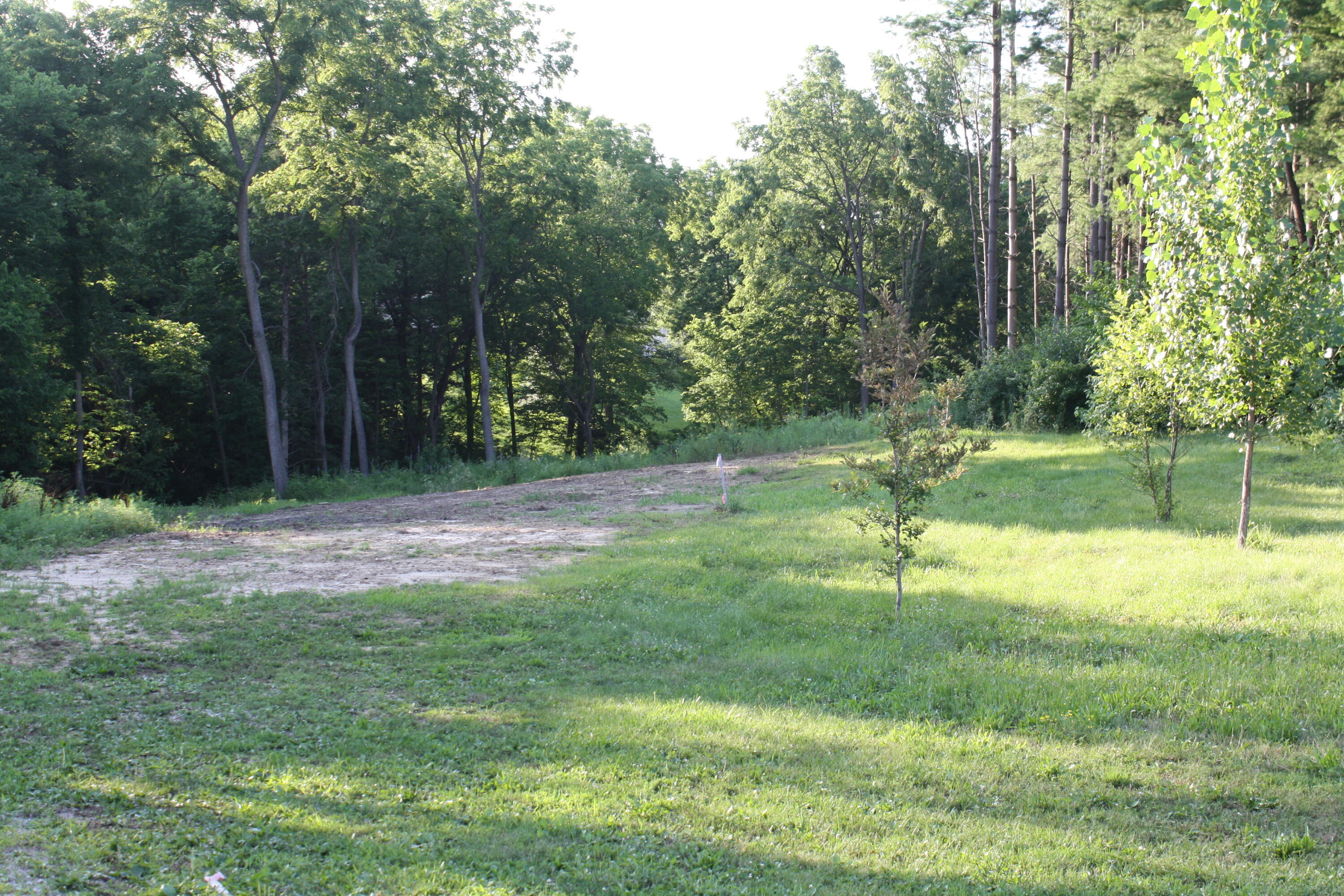 LOT 5 PINE RIDGE - Photo 2