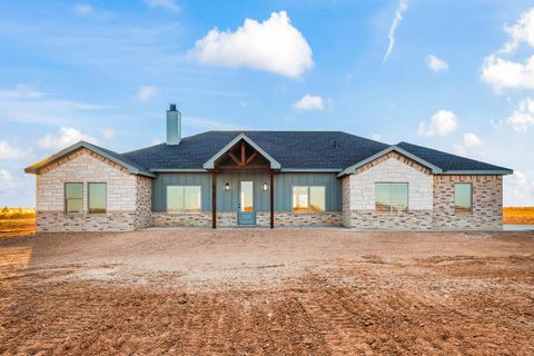 Photo of 13905 N F M 2378, Shallowater, TX 79363 (MLS # 202605893)